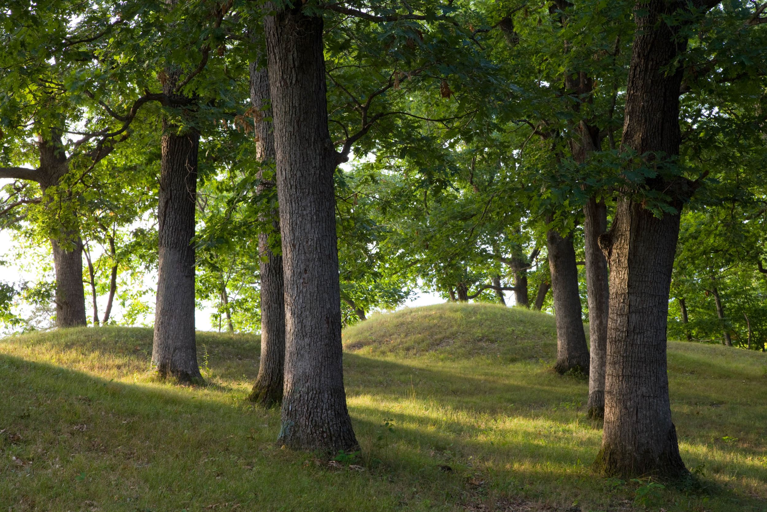 Native American Mounds