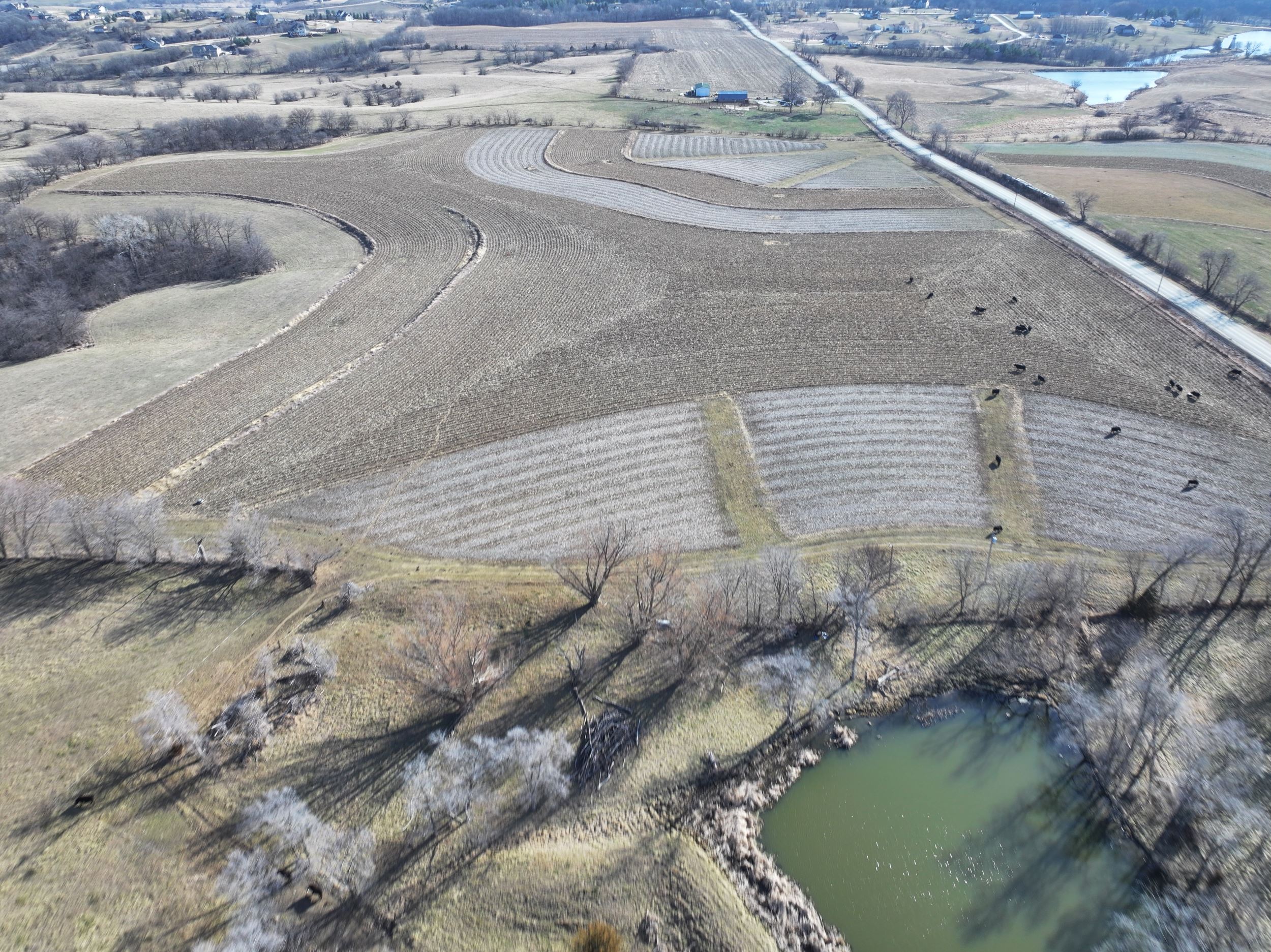A birds-eye-view shows the diversity of crops and cover planted on the farm.