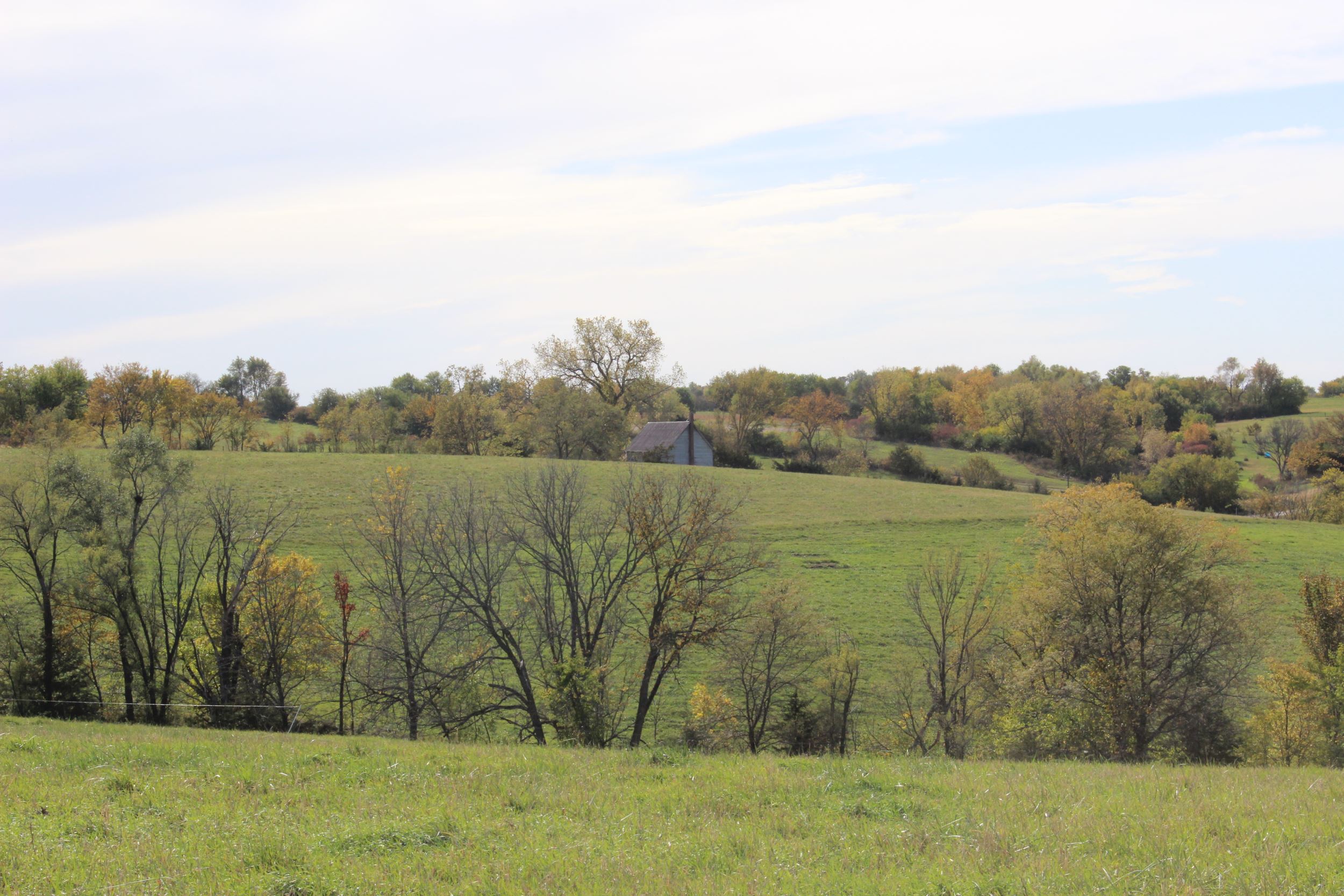 View of the rolling hills on the farm, with old schoolhouse in the background. 