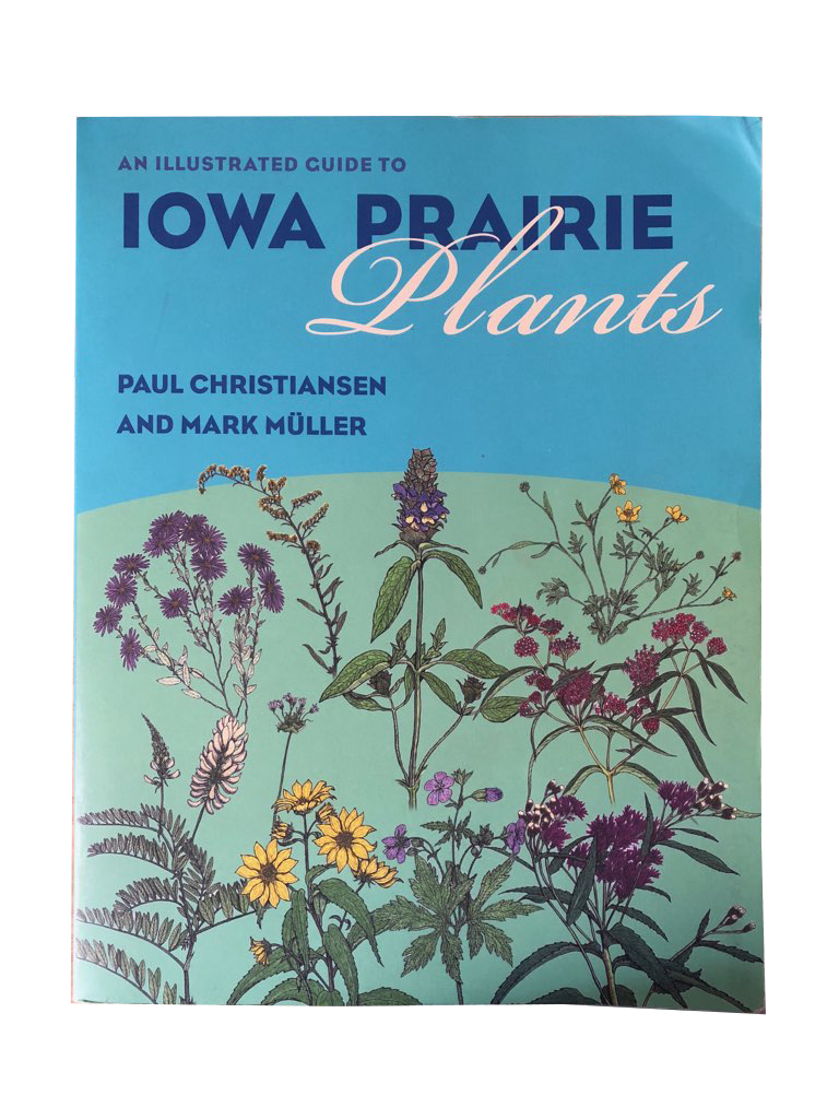 Iowa Prairie Plants