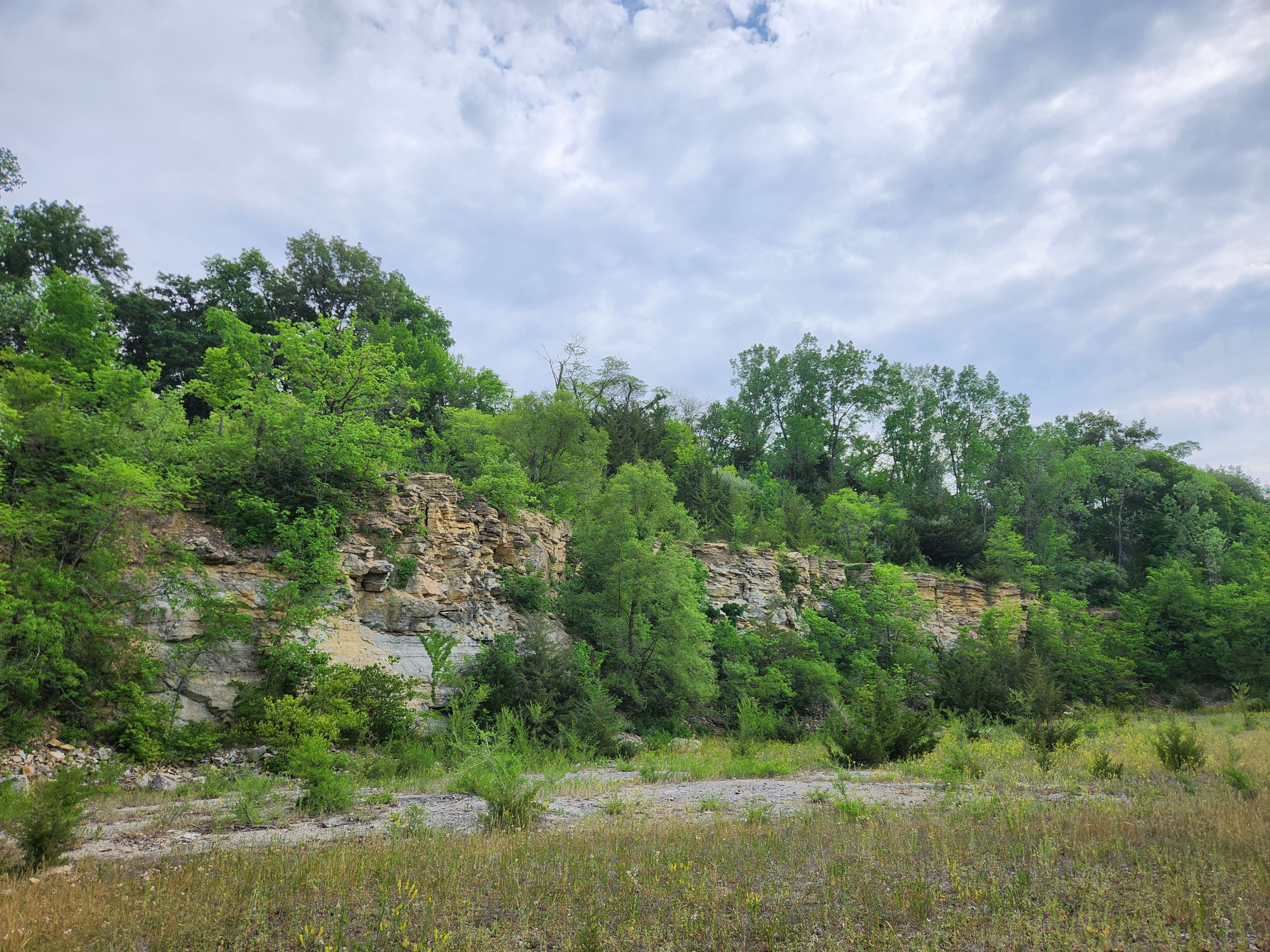 View of the bluffs at the possible addition to Wildcat Bluff. 
