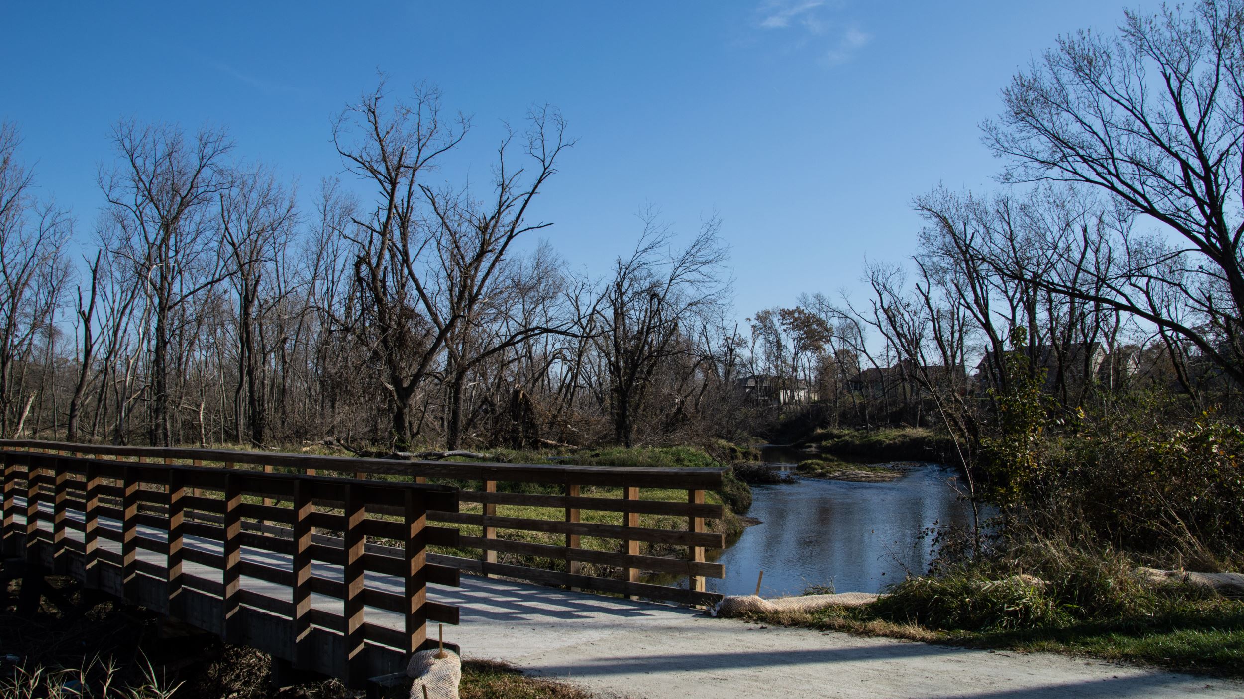 Bridge over a river in a bare forest