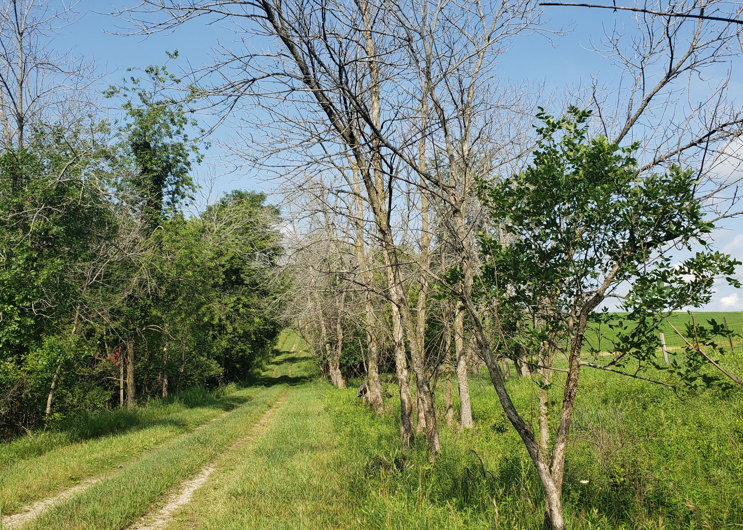 What is a Fen? The Nature of ACRES' Springy Places - ACRES Land Trust