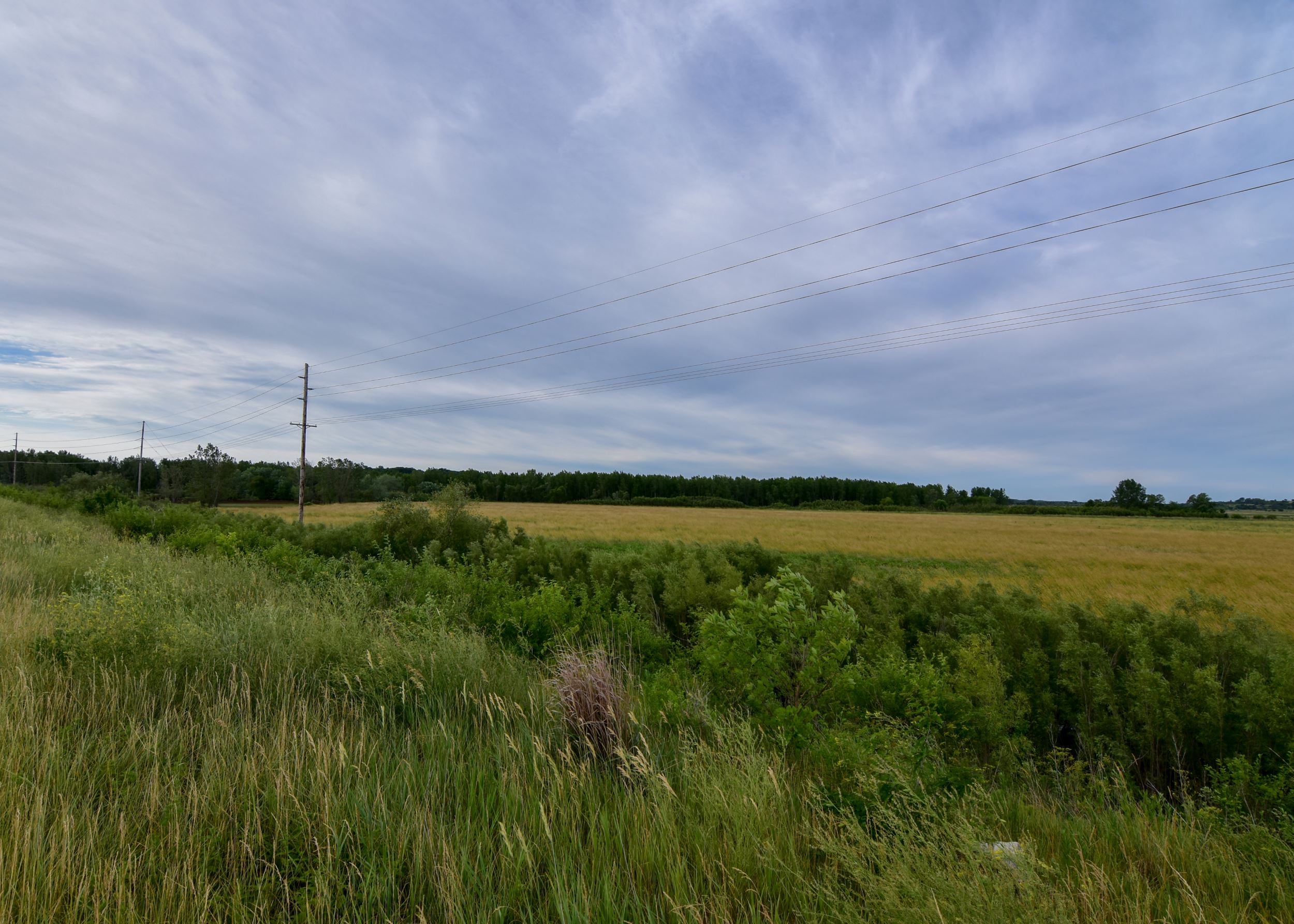 Pendry Property