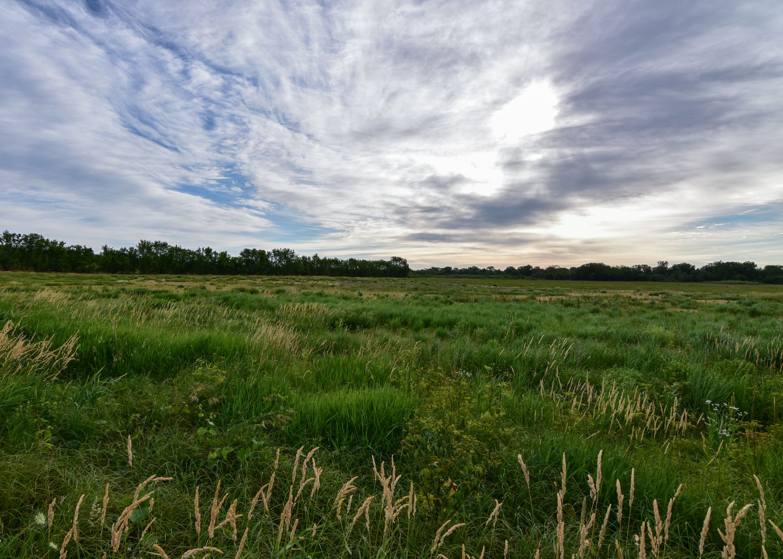 Furnal Property