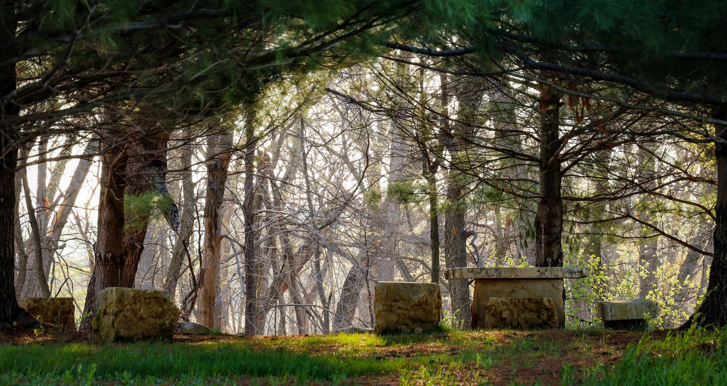 A natural sanctuary at Heritage Preserve