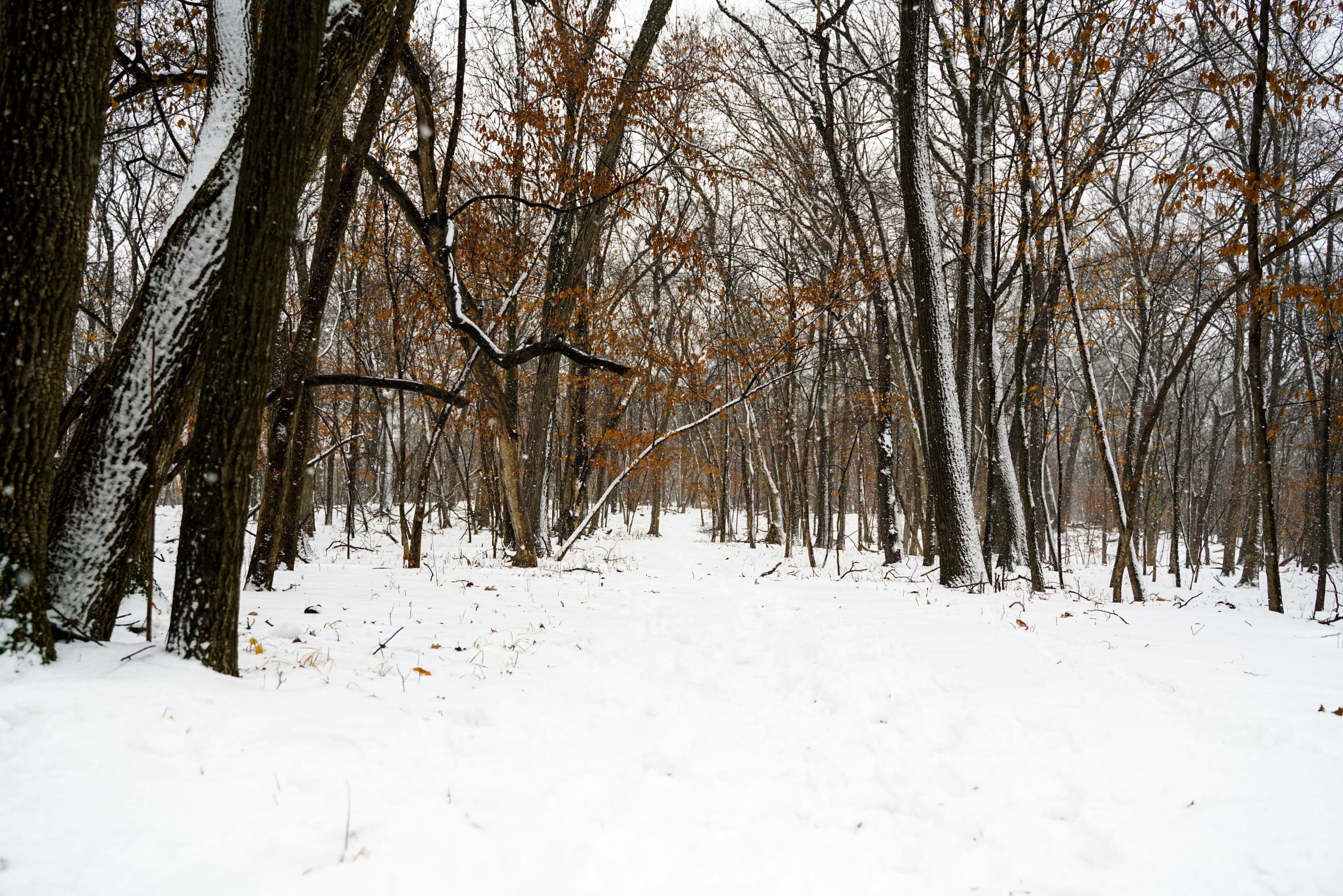 4-H Camp in Winter