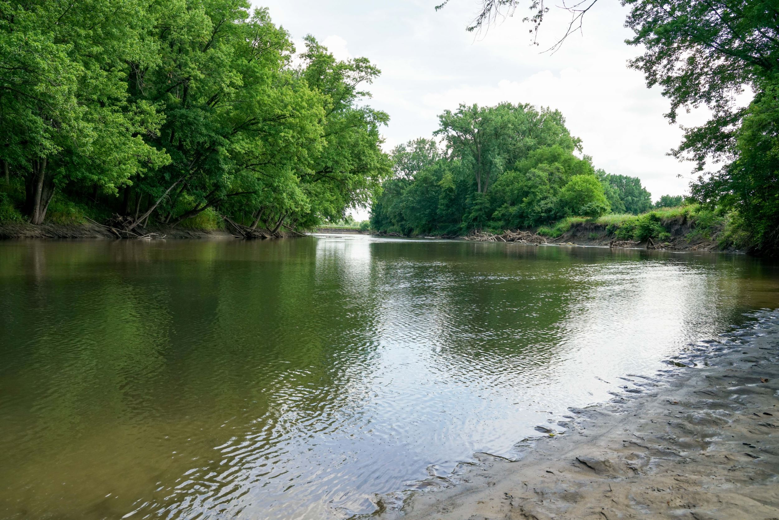 Skunk River