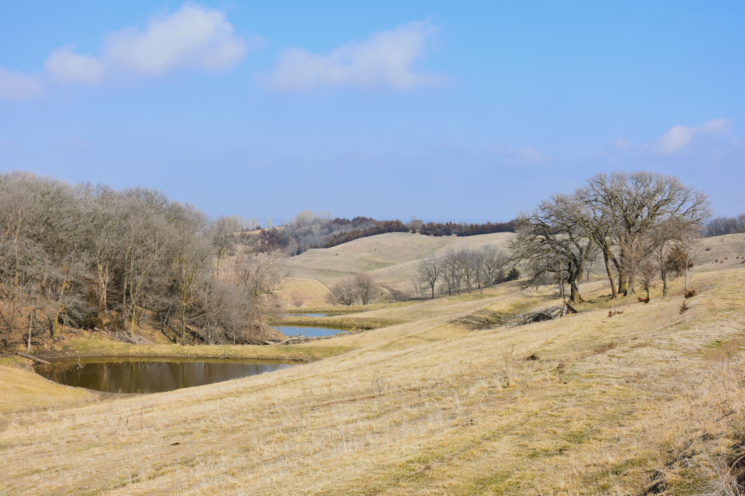 Green Hill Ranch