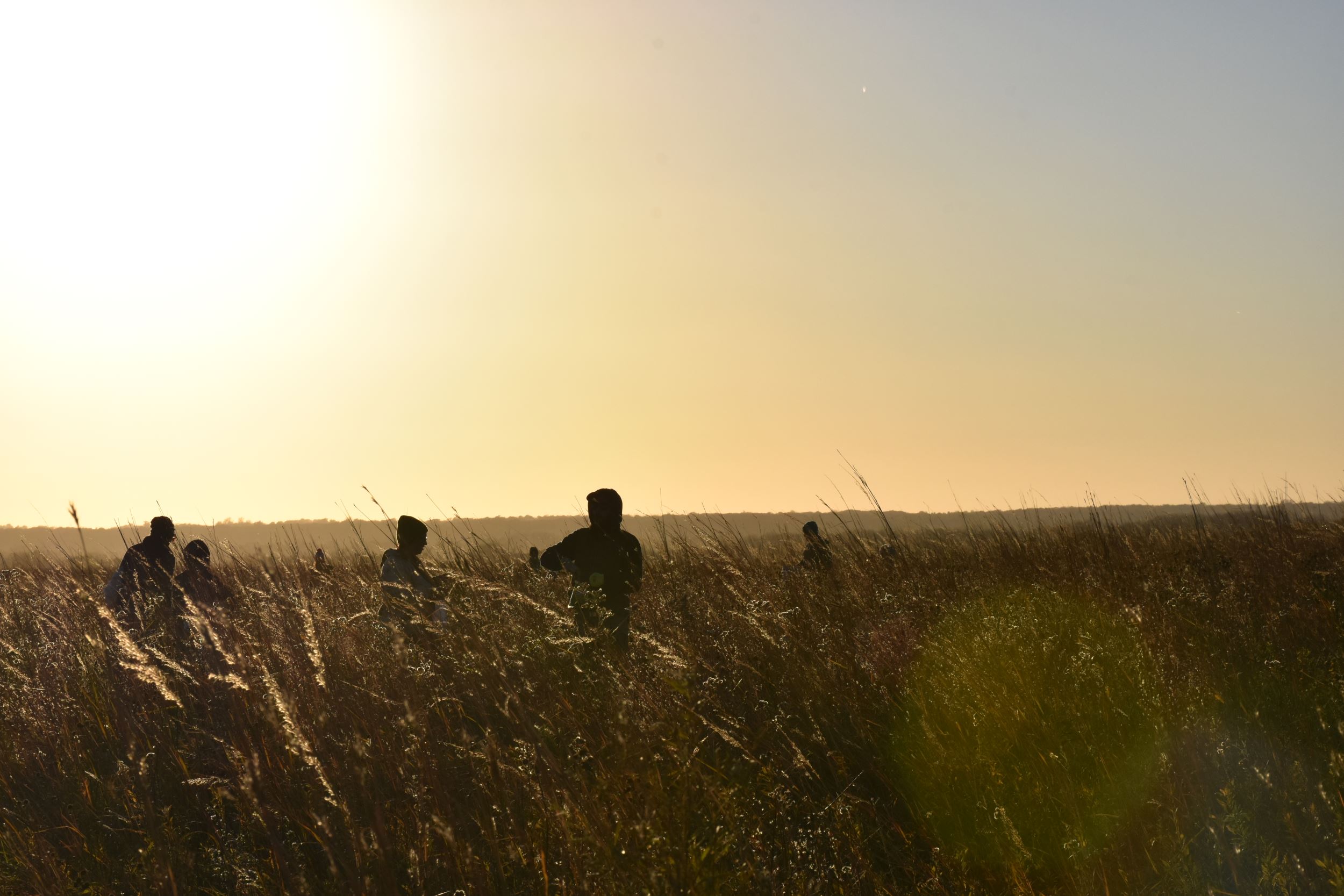 PartnersinConservation