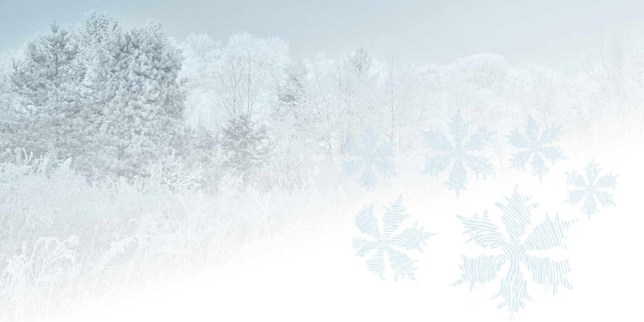 Snowy scene with snowflakes that look like fingerprints
