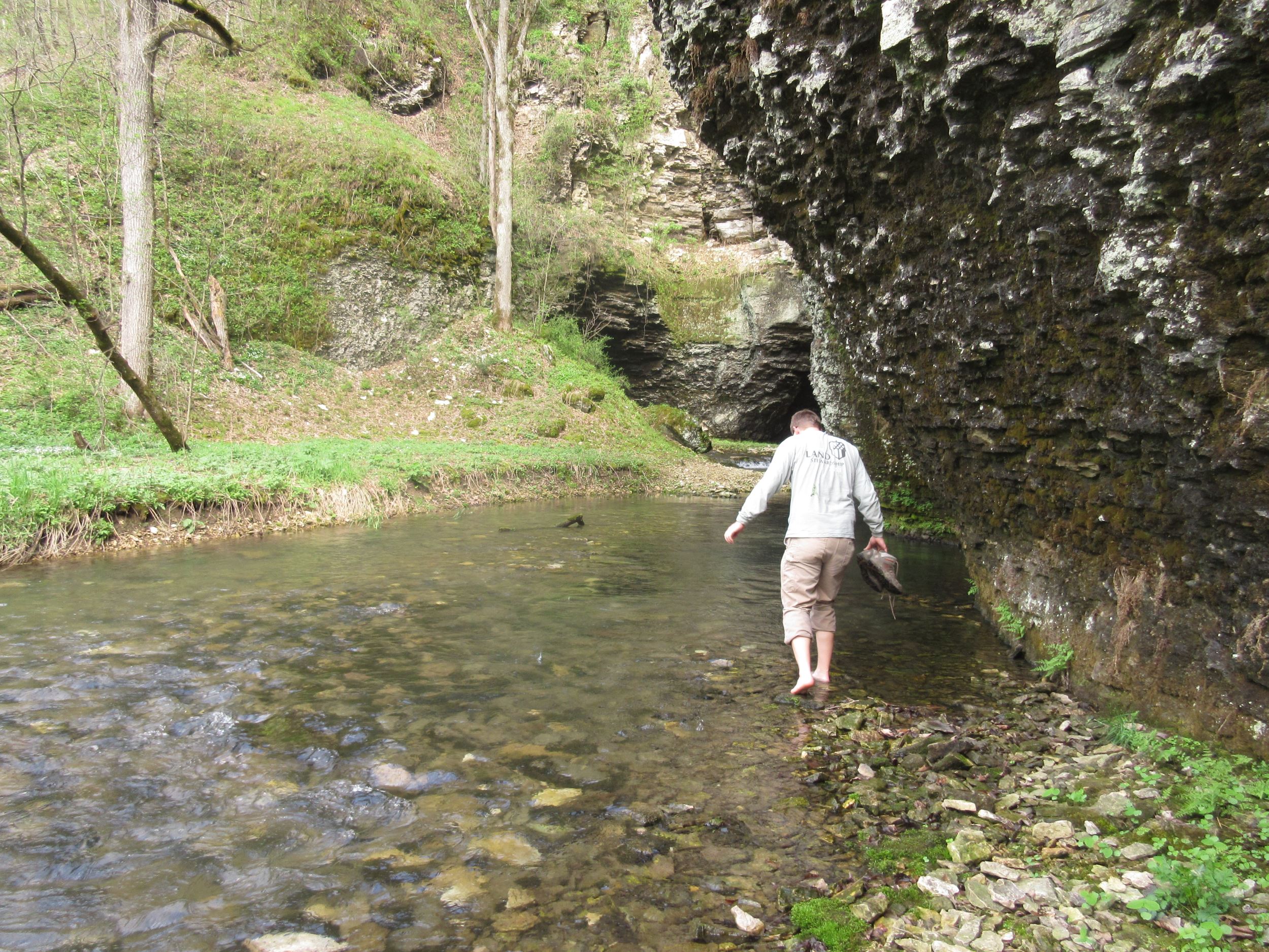 creek walk