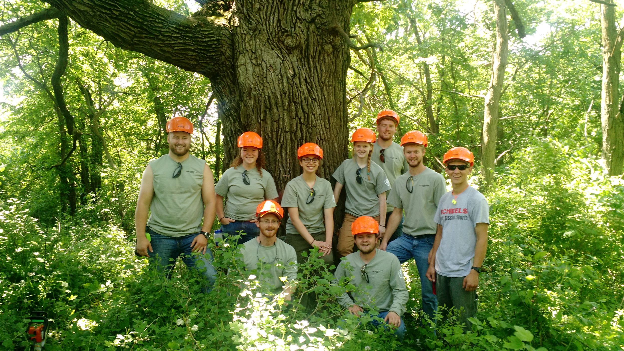 StatewideLandStewardshipInterns