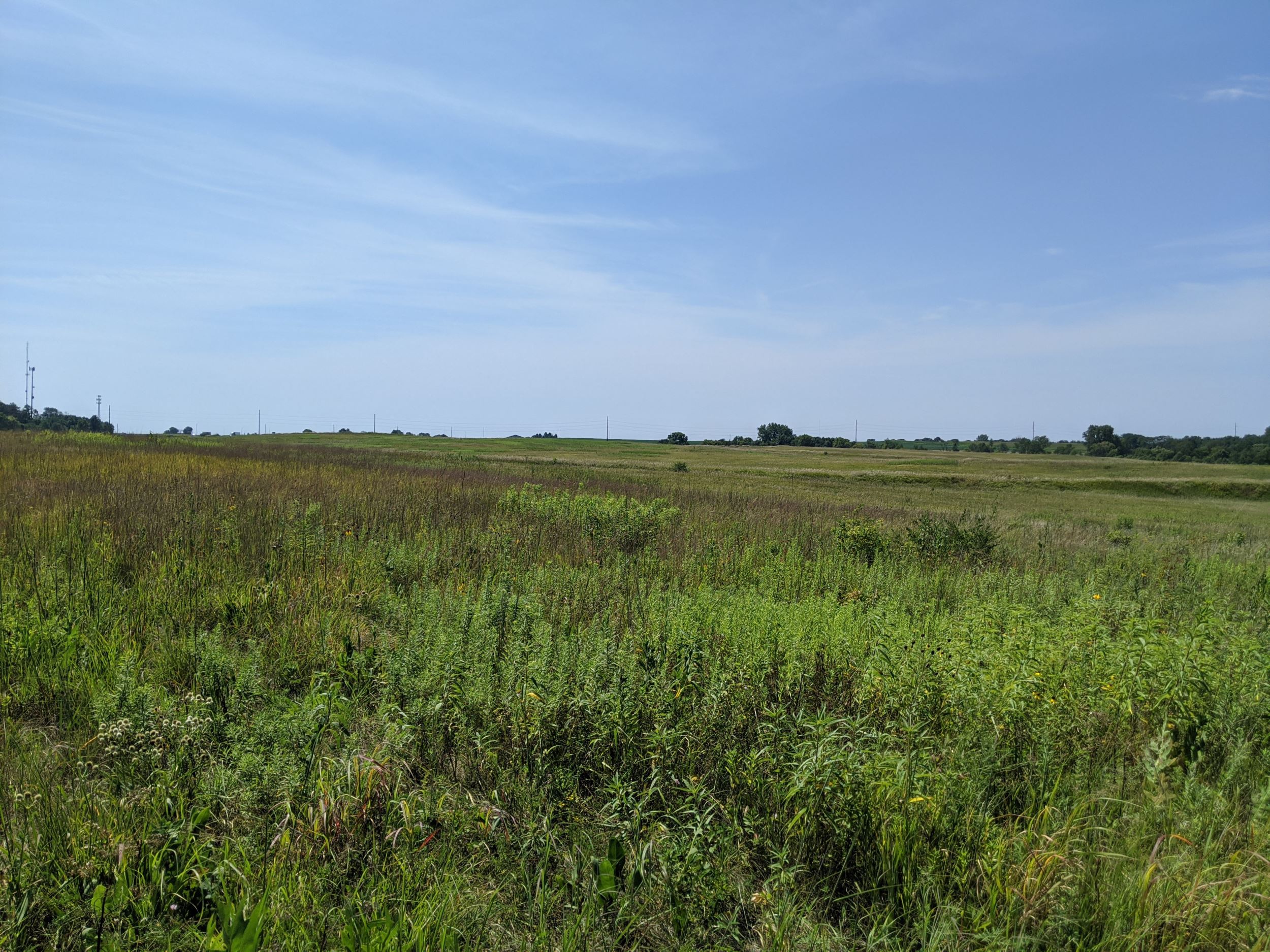 A beautiful green prairie with a dusky blue sky above.