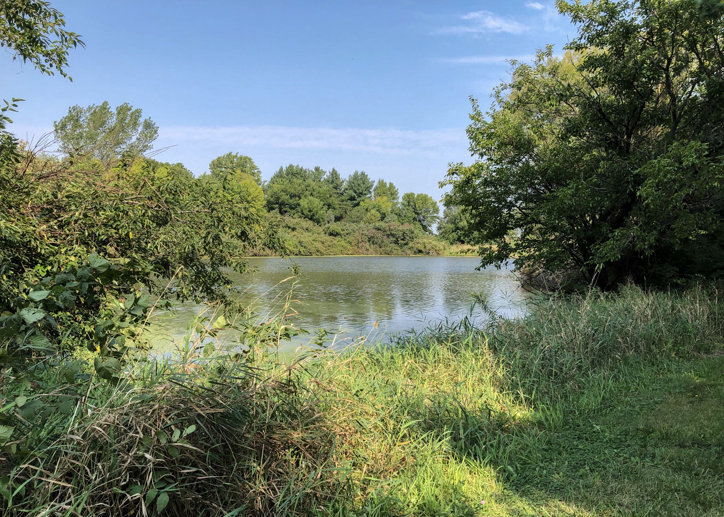 Kuehl Property