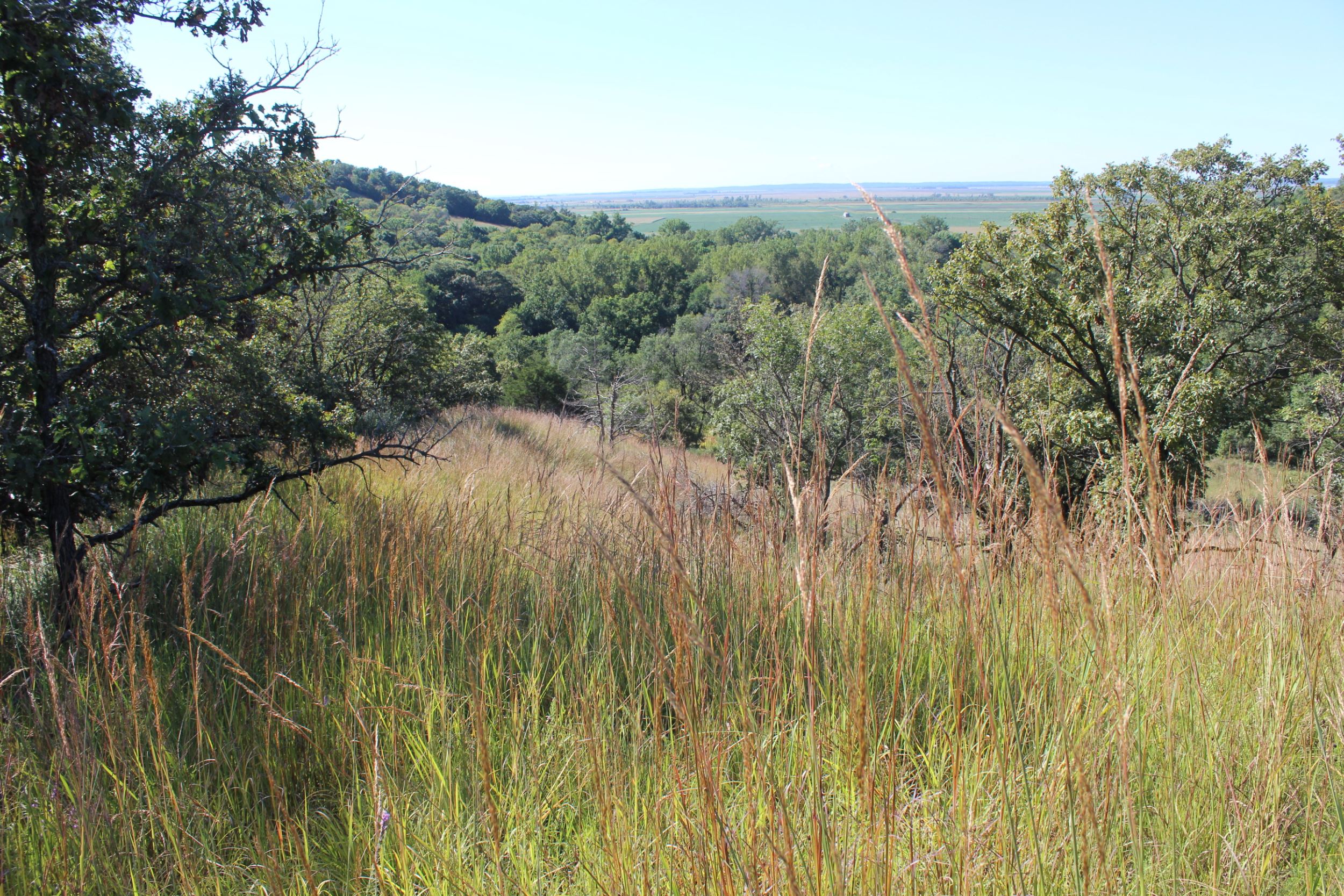 Prairie, wetlands protected at Silver Lake in Palo Alto County