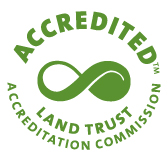 LTA Accreditation logo