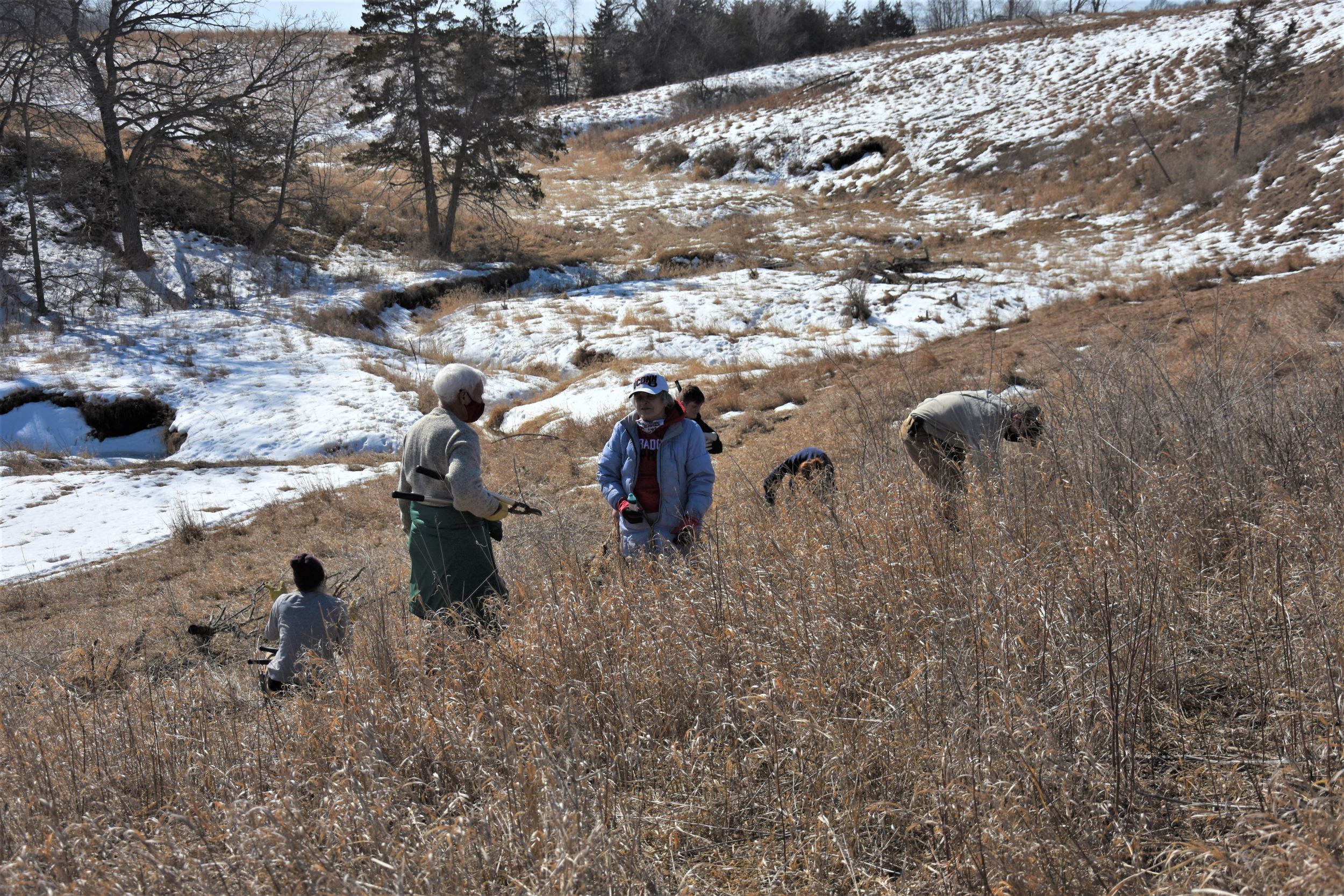 Winter Workday at Perkins Prairie (Jefferson)