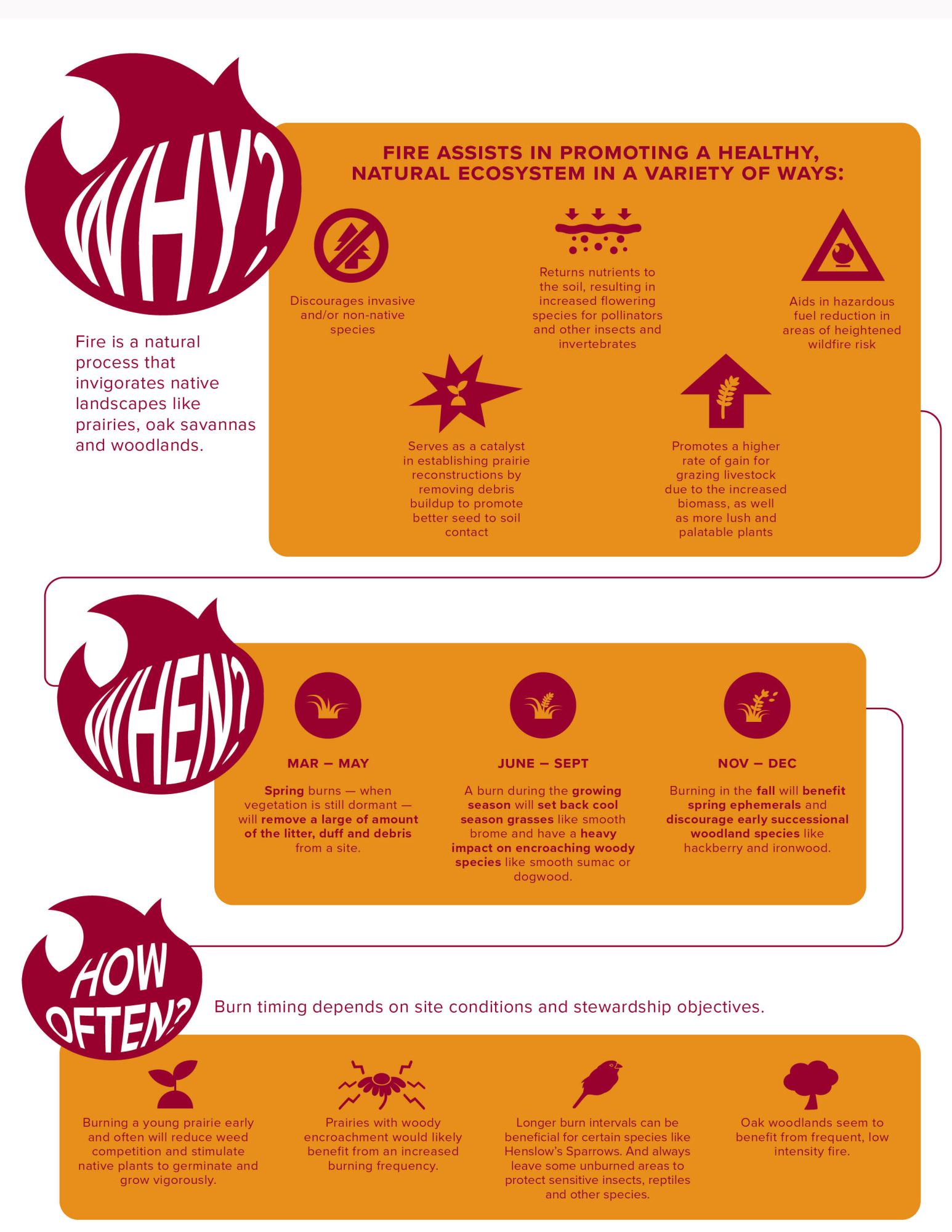 Graphic explaining prescribed fire