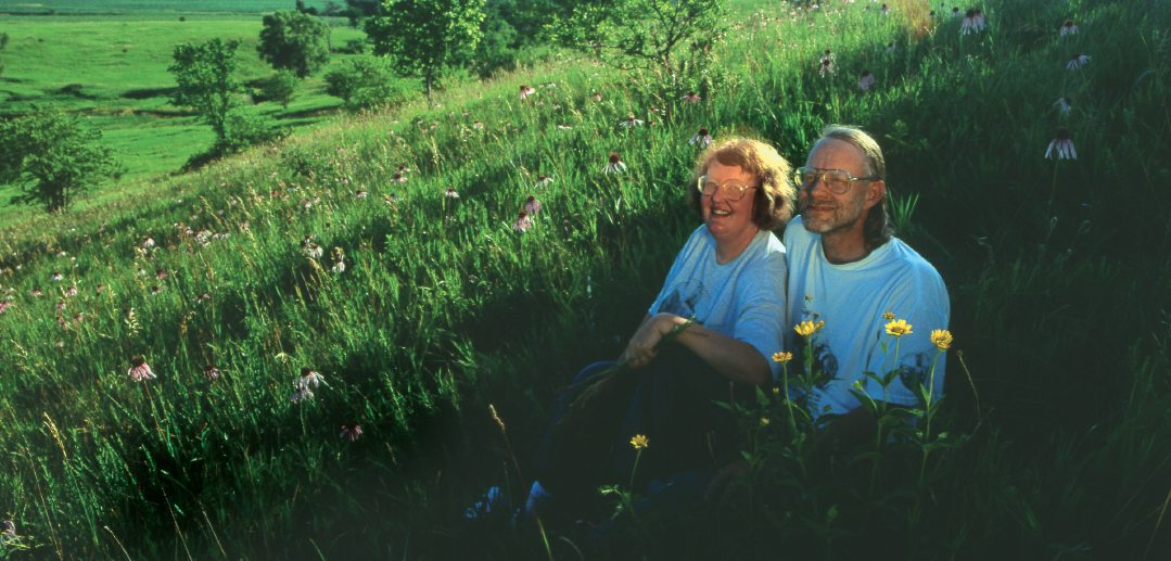 restored prairie