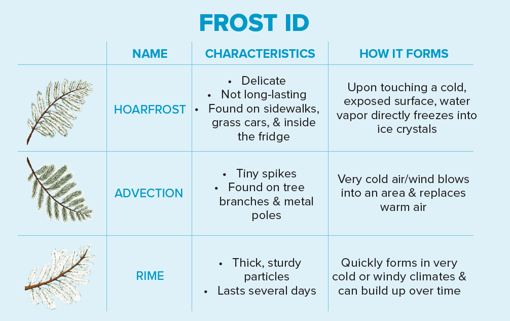 Table showing the different types of frost and their attributes