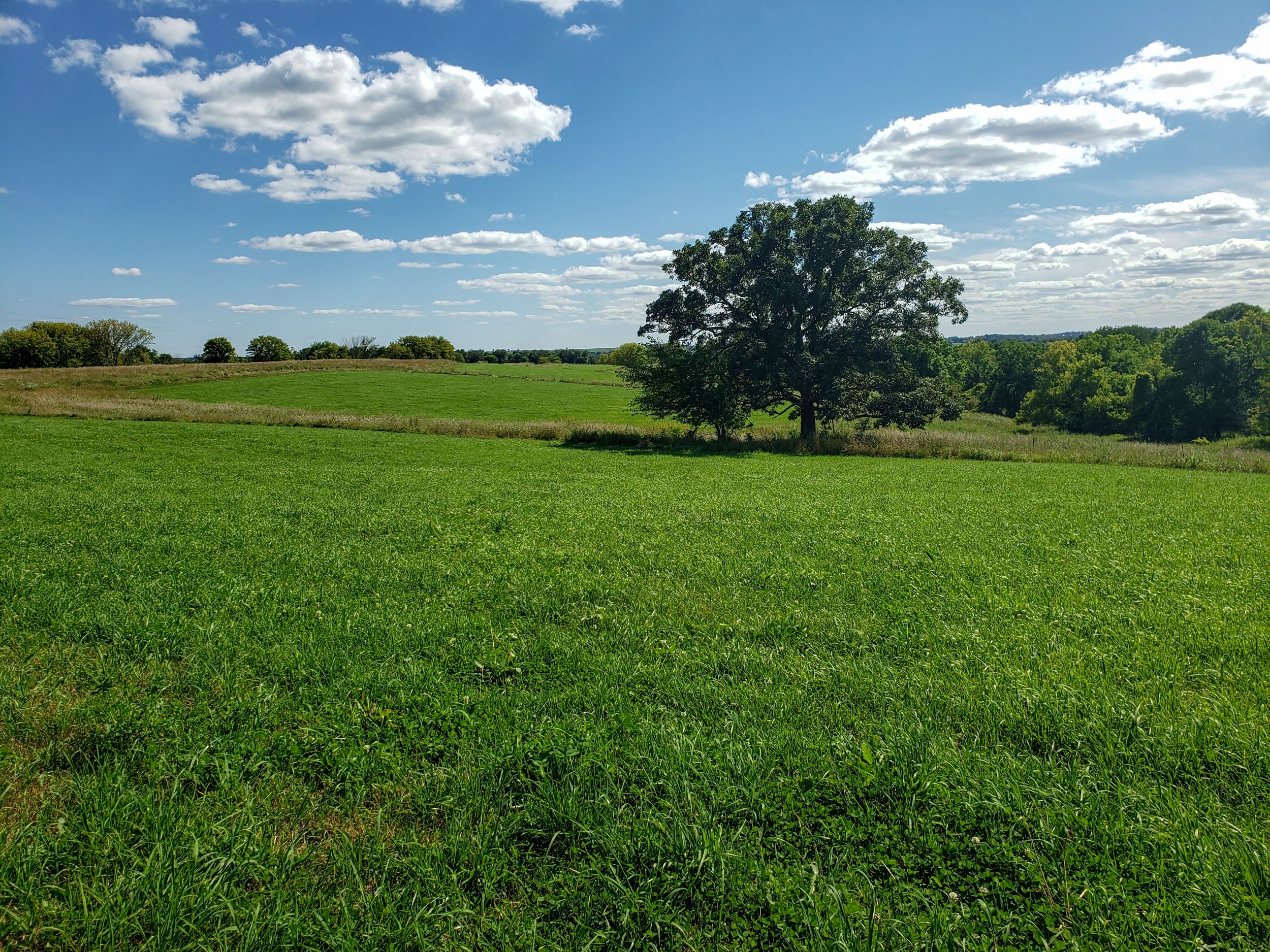 Specht Property