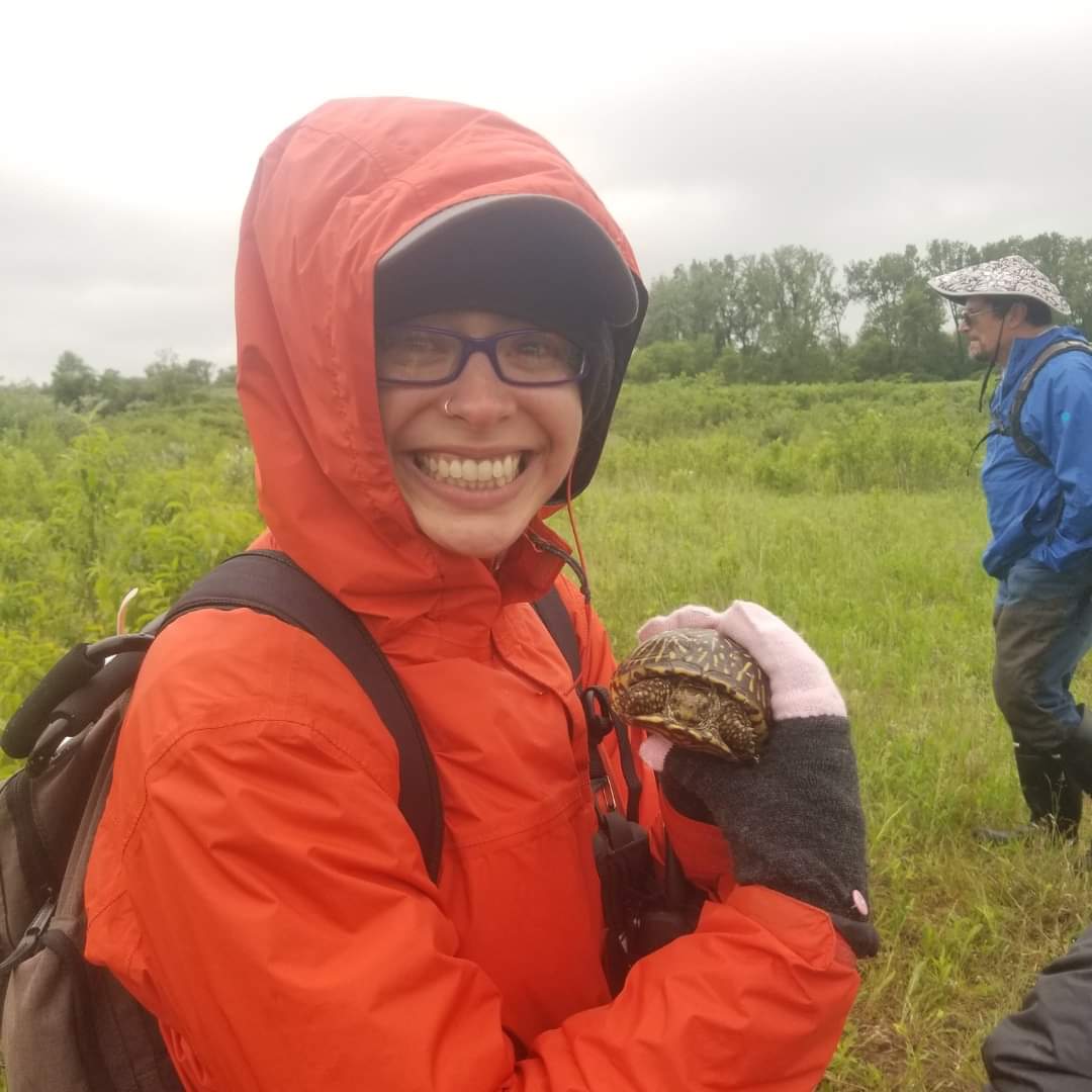 Destiny with box turtle in the field