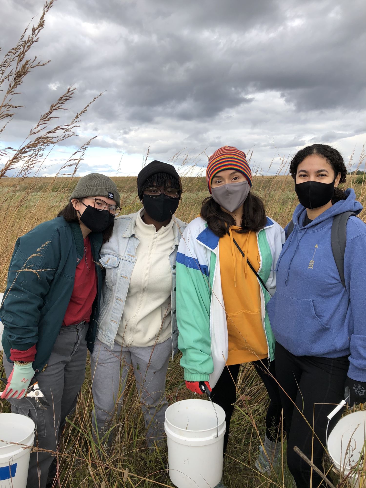 Four young women at a prairie seed harvest