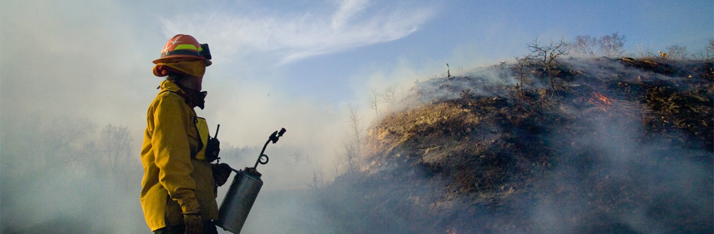 Prescribed burn on prairie