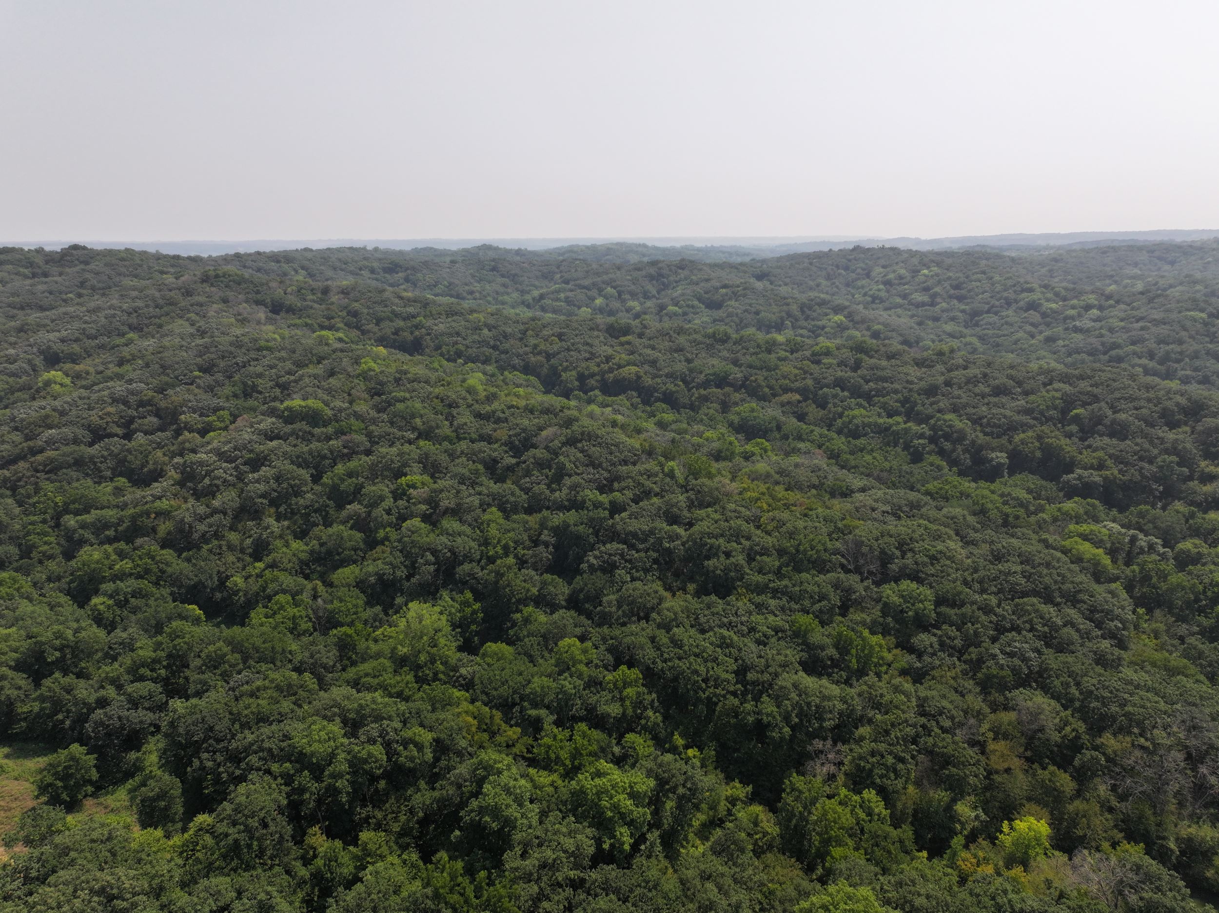 New addition coming to Loess Hills State Forest