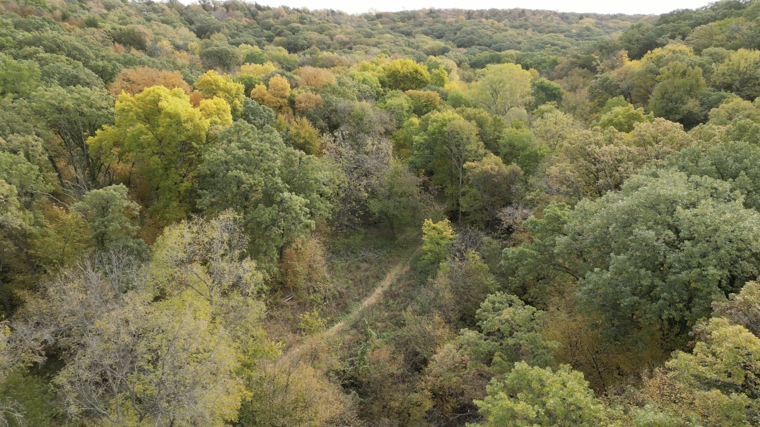 Aerial view of the LSSR in fall