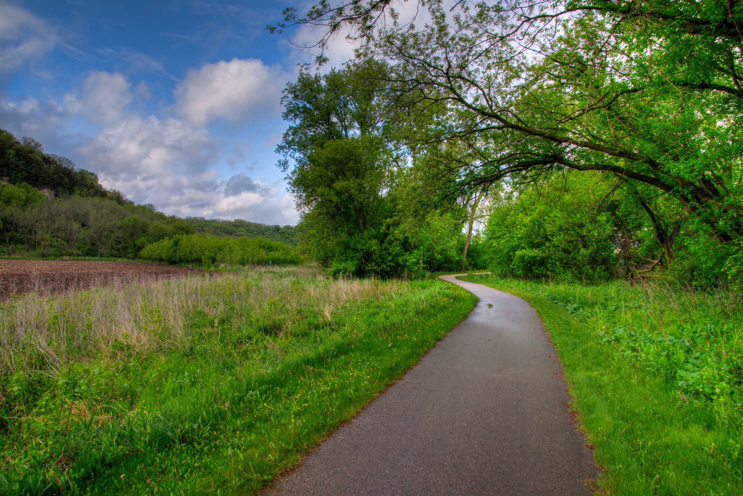 decorah trail