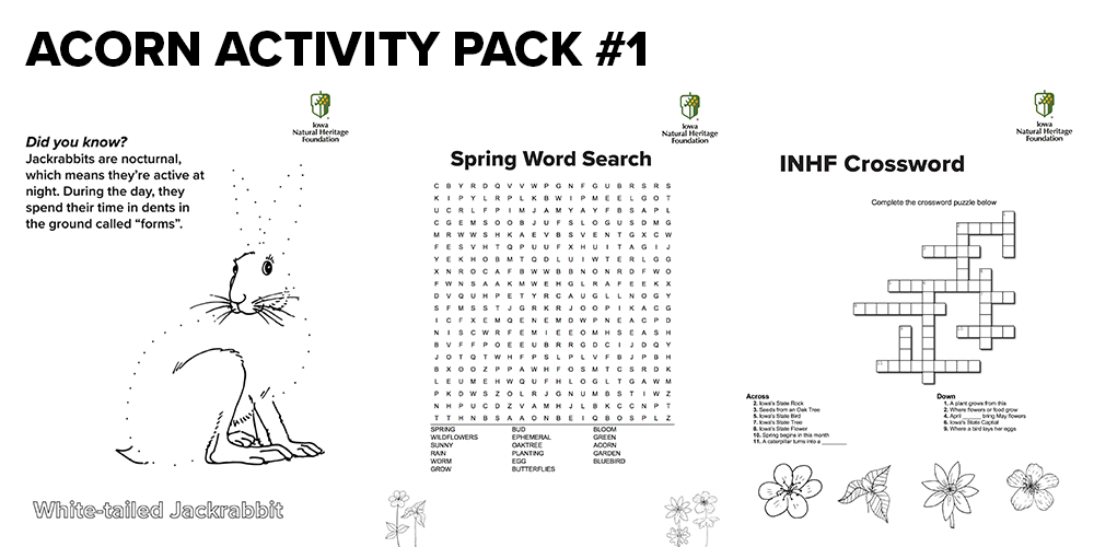 Acorn Activity Pack #1