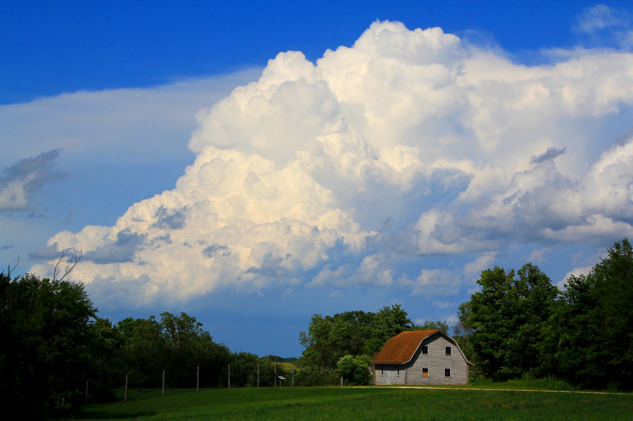 Cumulus clouds, photo by Larry Reis