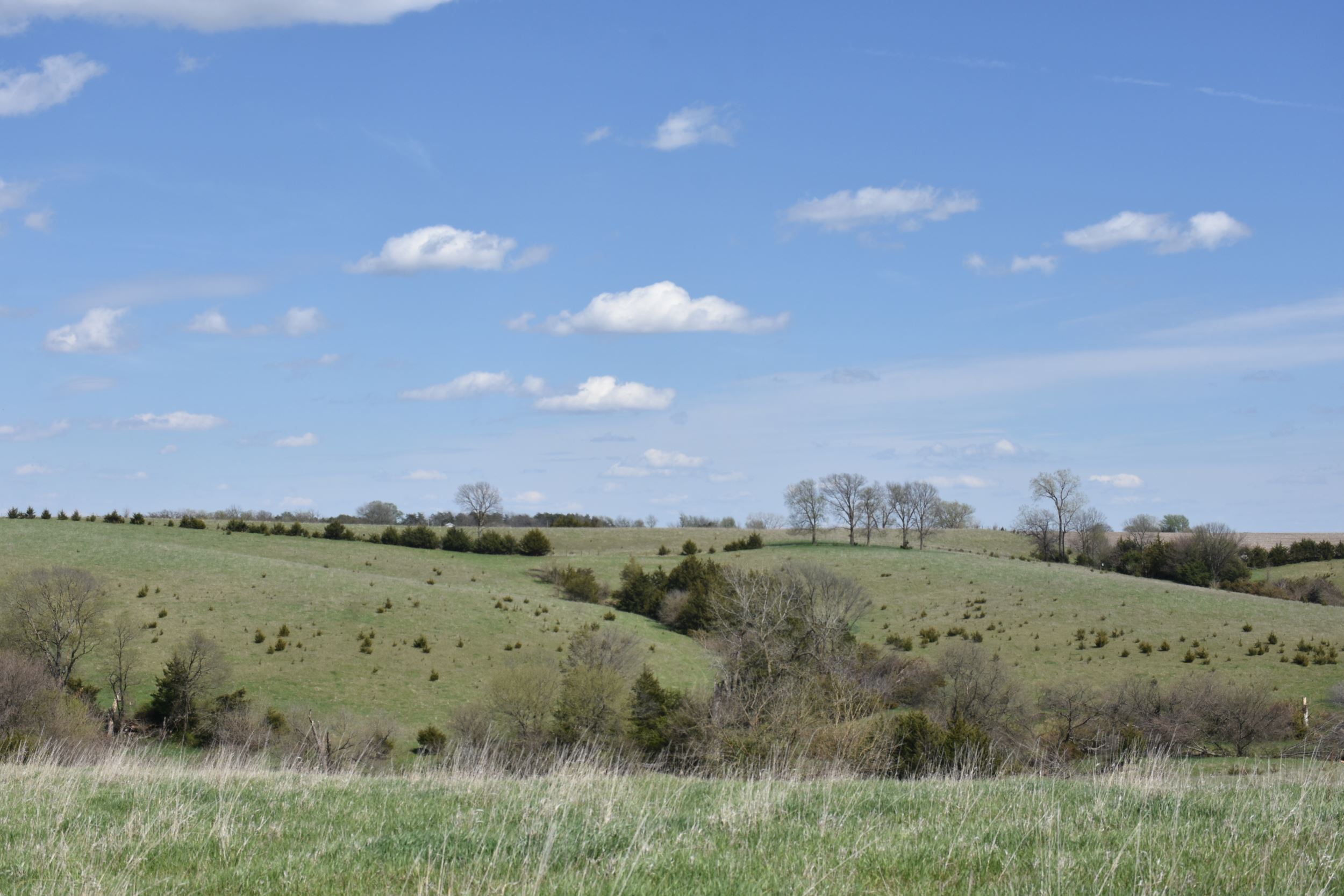 Rolling Hills WMA
