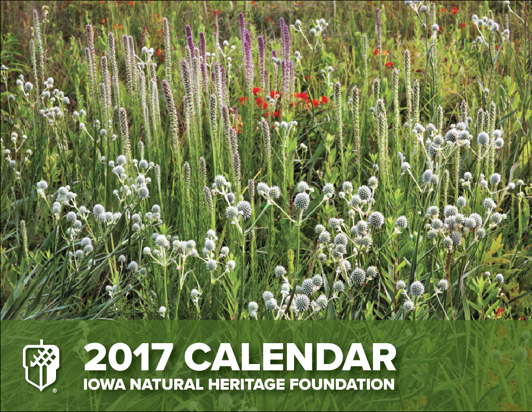 2017 INHF calendar