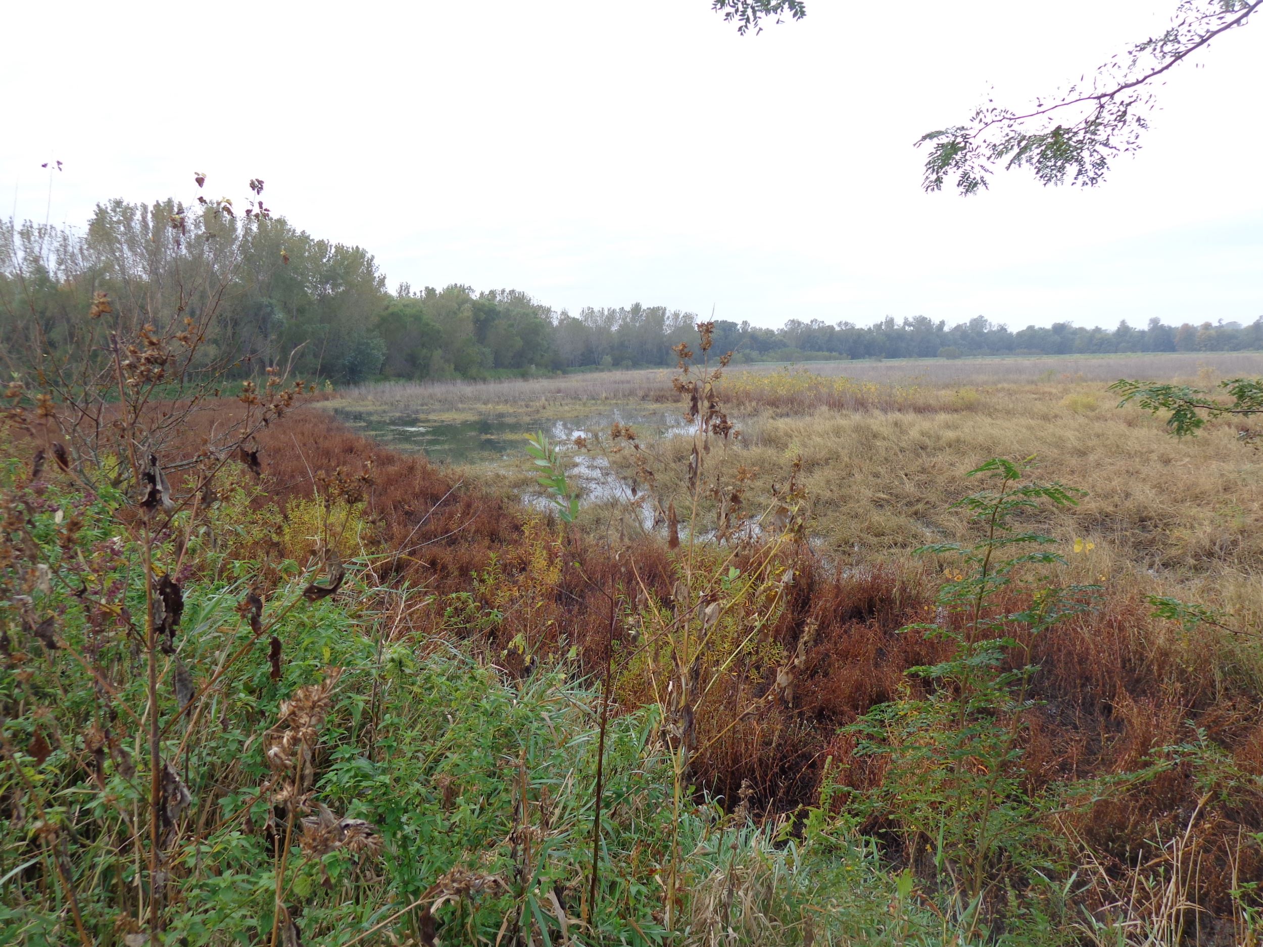 New public hunting area in Mahaska County