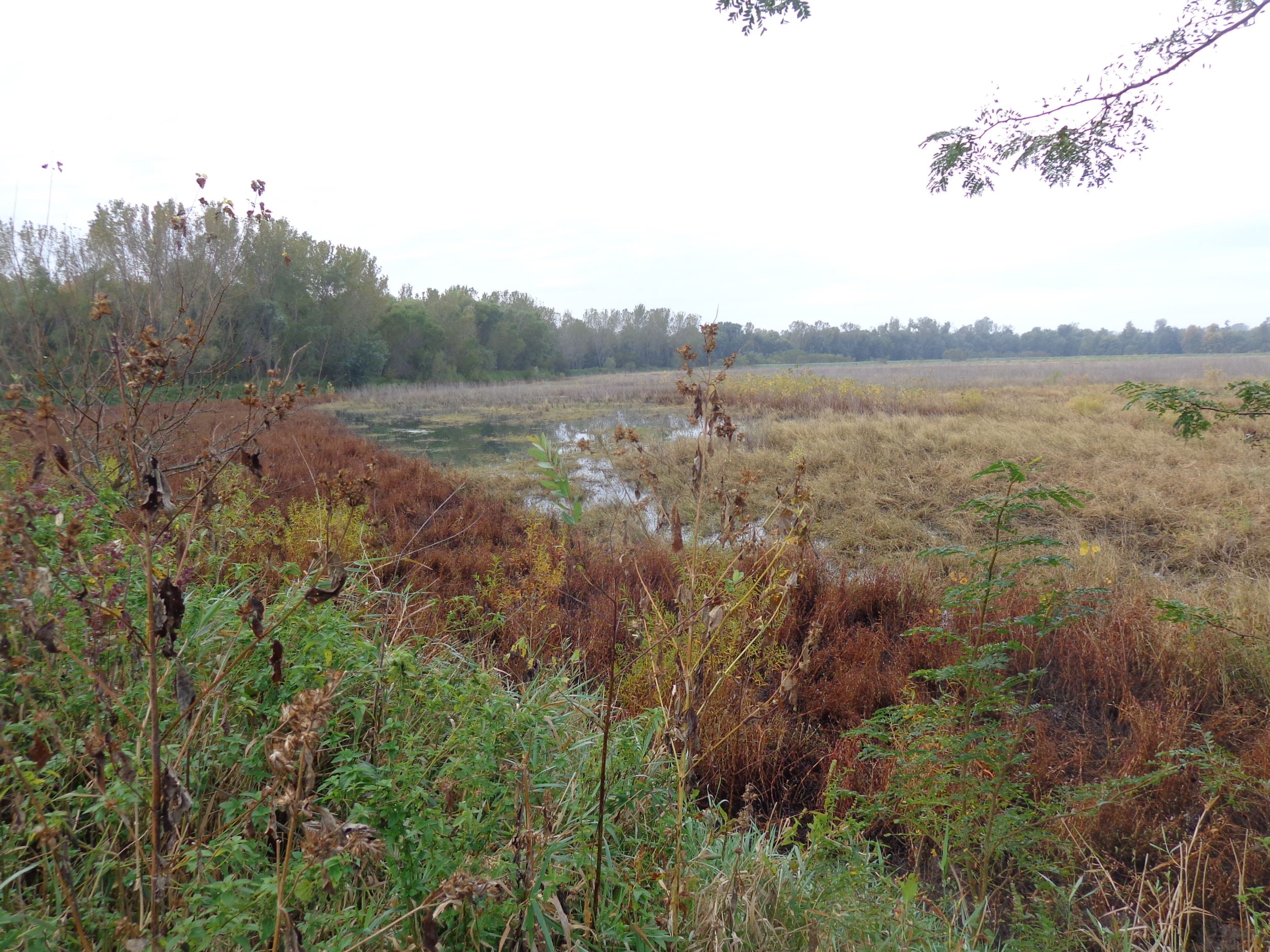 Pheasants Forever helps protect public hunting and recreation area in Mahaska County