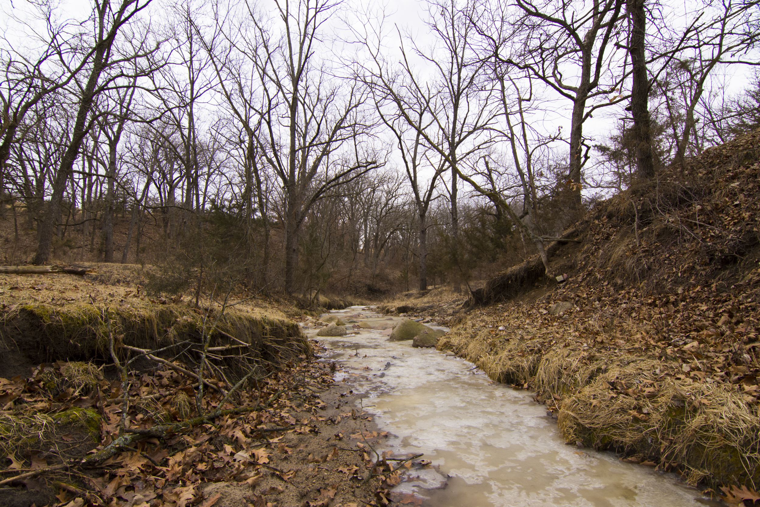 INHF protects 1,000-acre property in Madison and Clarke counties