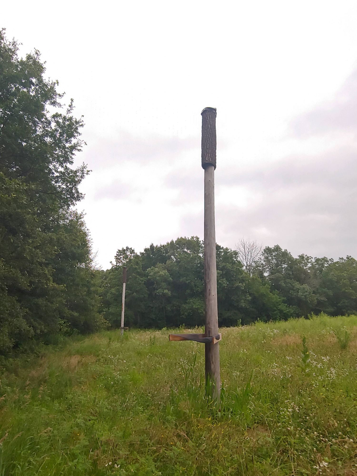 Bat roost