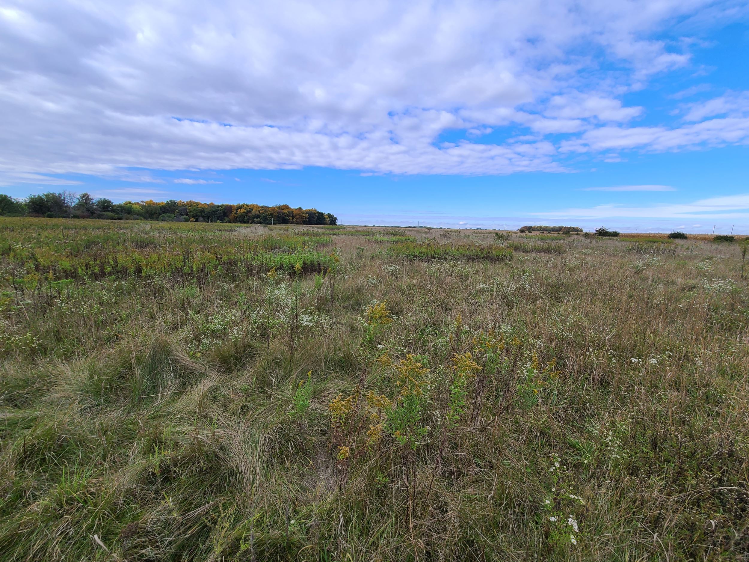 INHF protected 155 acres in Fayette County which includes a fen, sedge meadow and woodland.