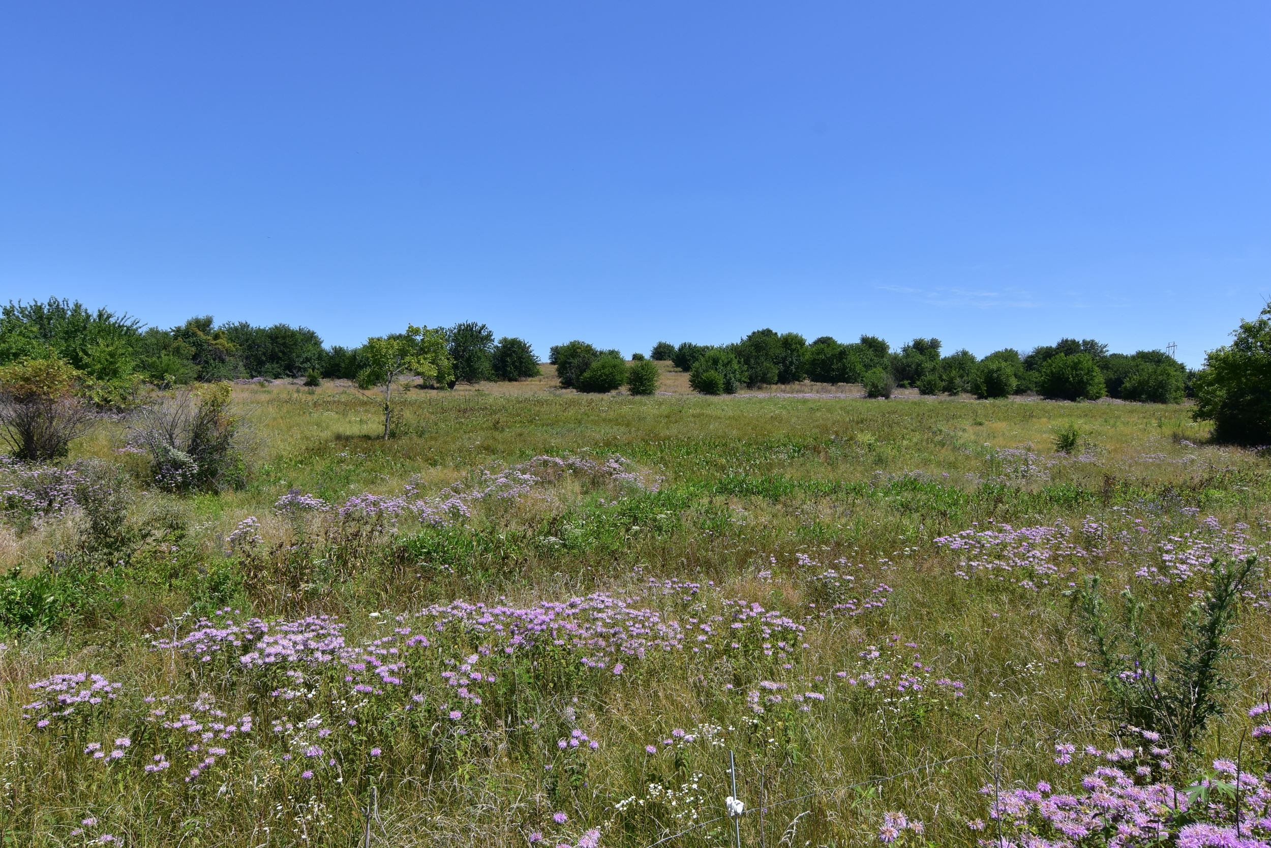 A fen in Fayette County