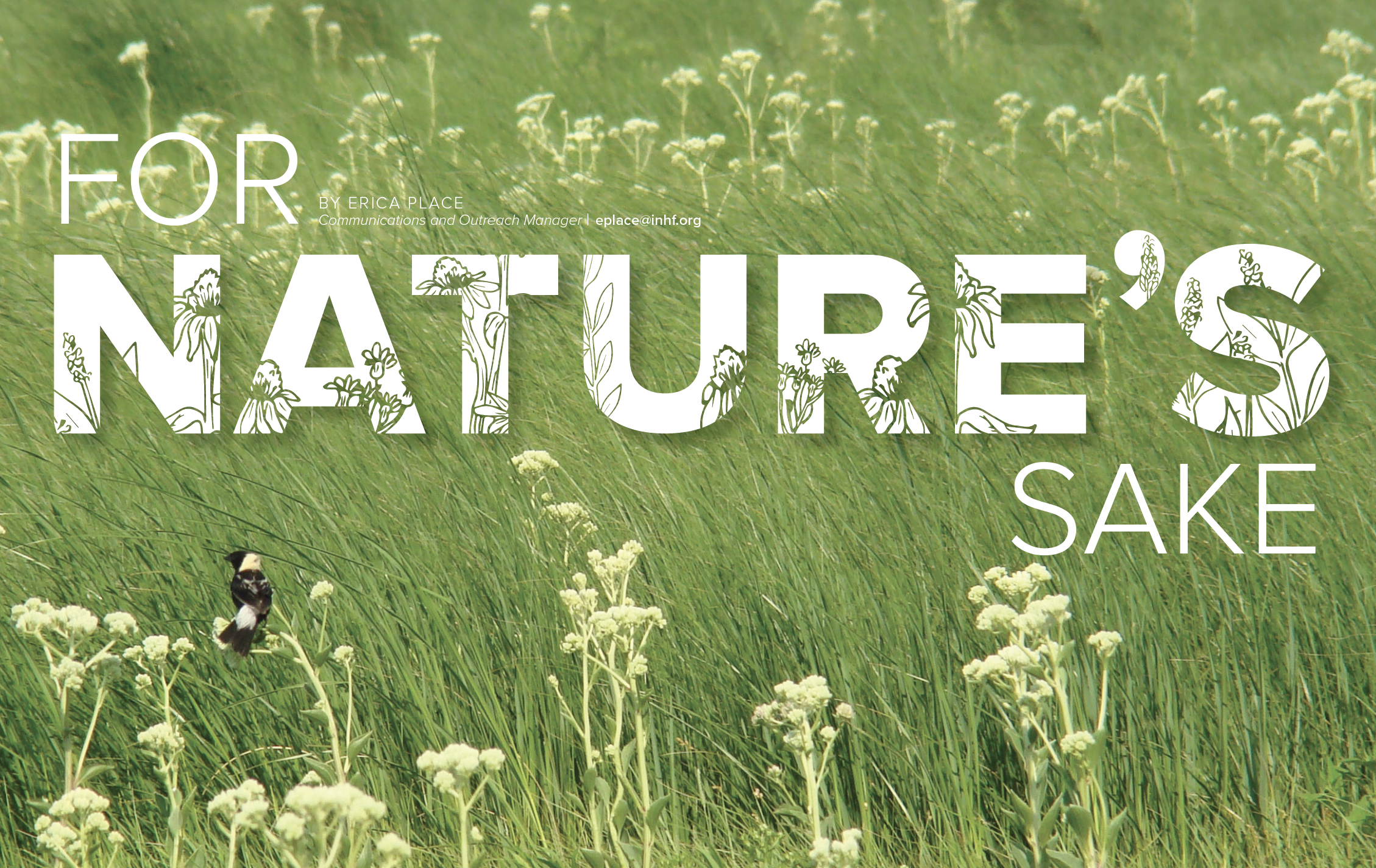 Image of a prairie with bobolink and For Nature's Sake in graphic letters