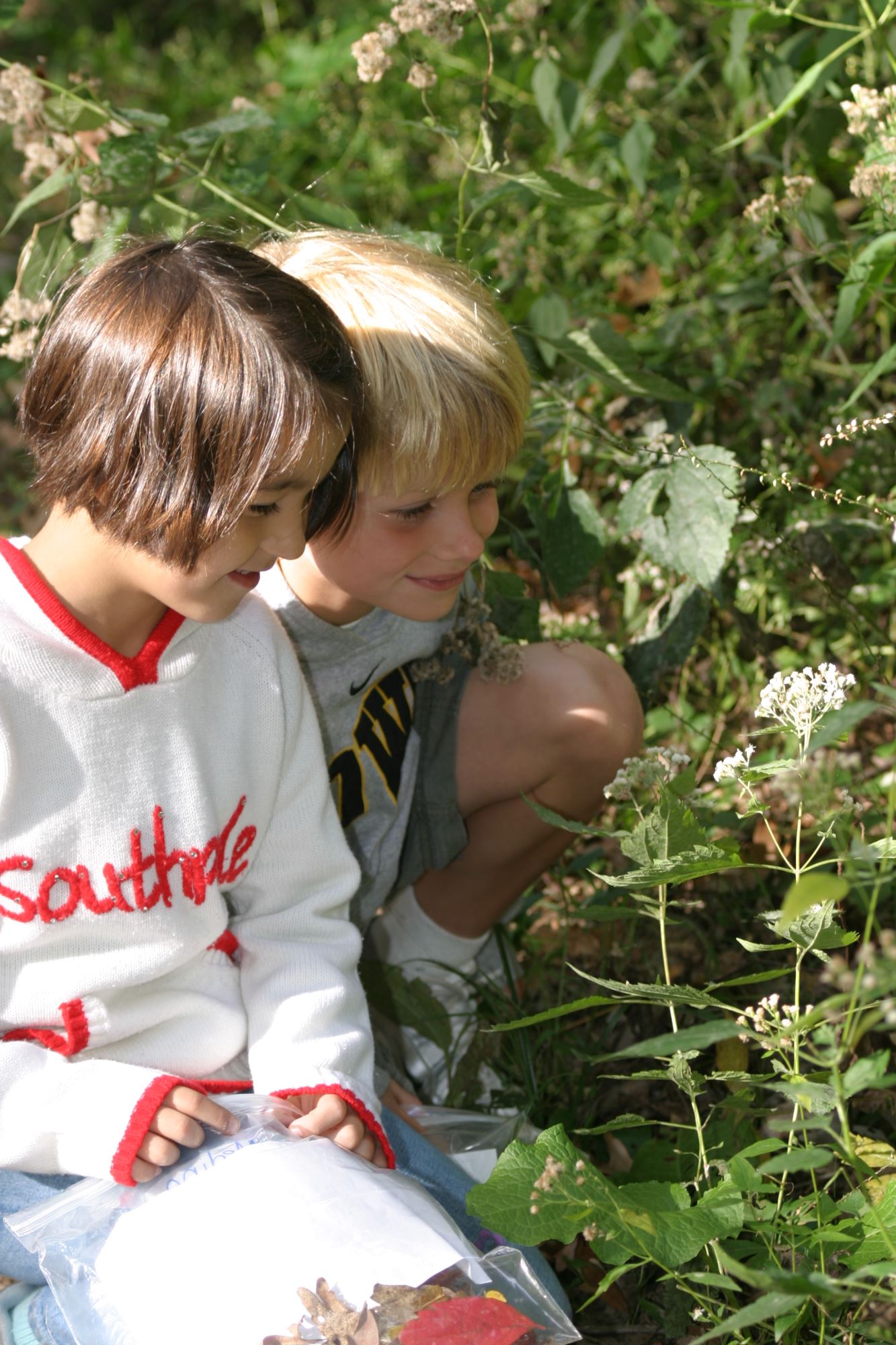 Two children examine a plant outdoors.