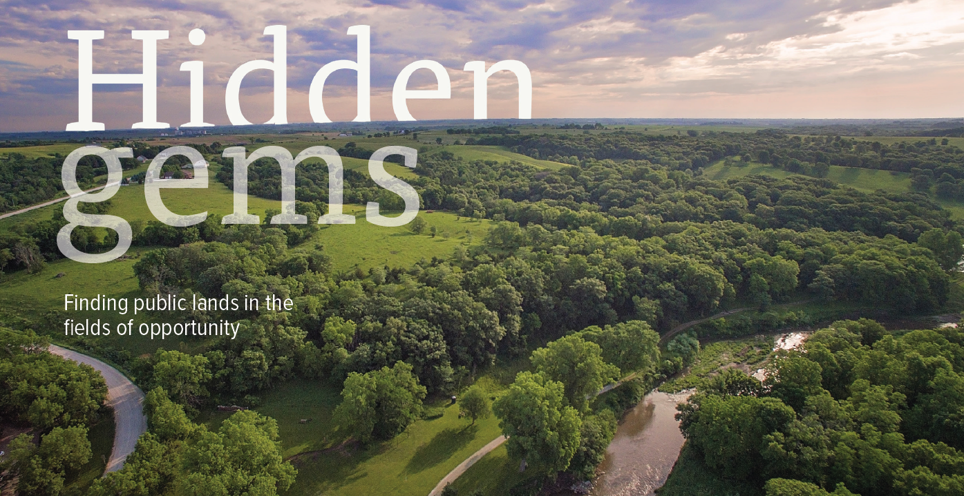 Hidden Gems title image