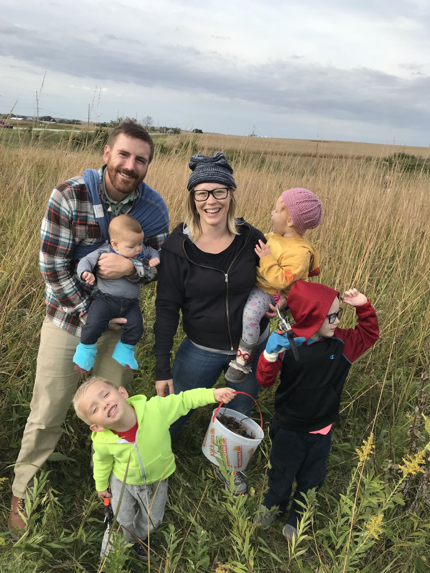 Breen seed harvest