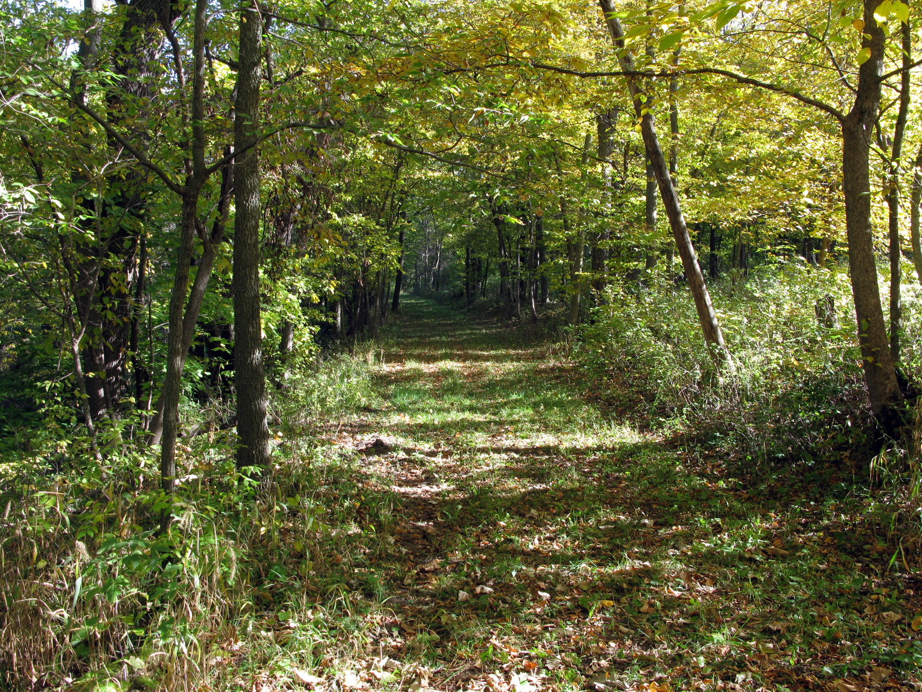 Winneshiek County acquires first public site in 25 years