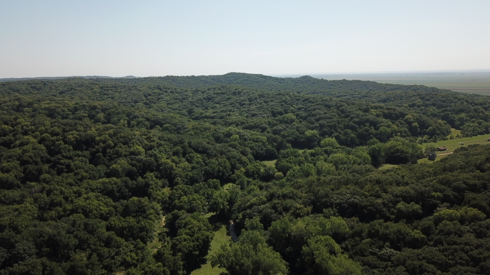 Rich Smith Wildlife Habitat Area