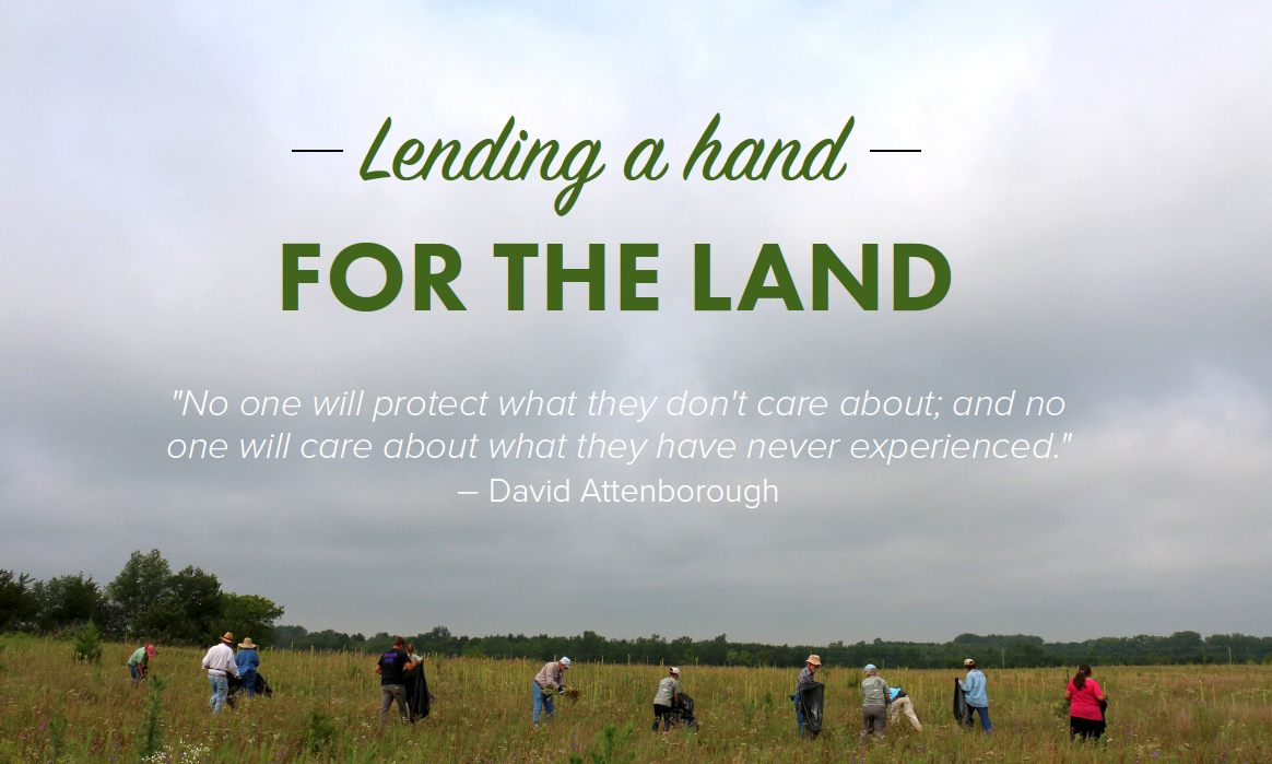 Lending a hand for the land volunteers collecting seeds