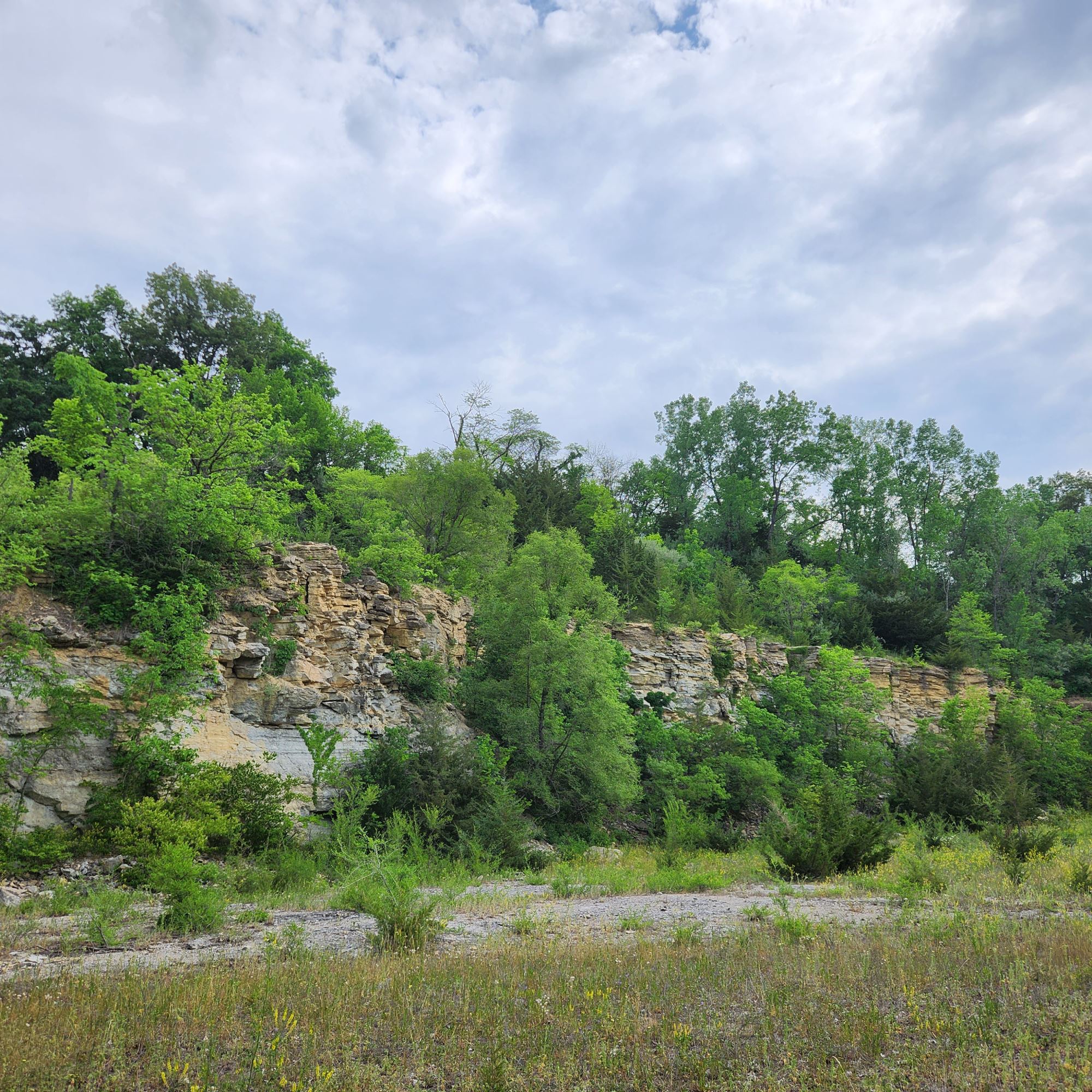 Wildcat Bluff addition